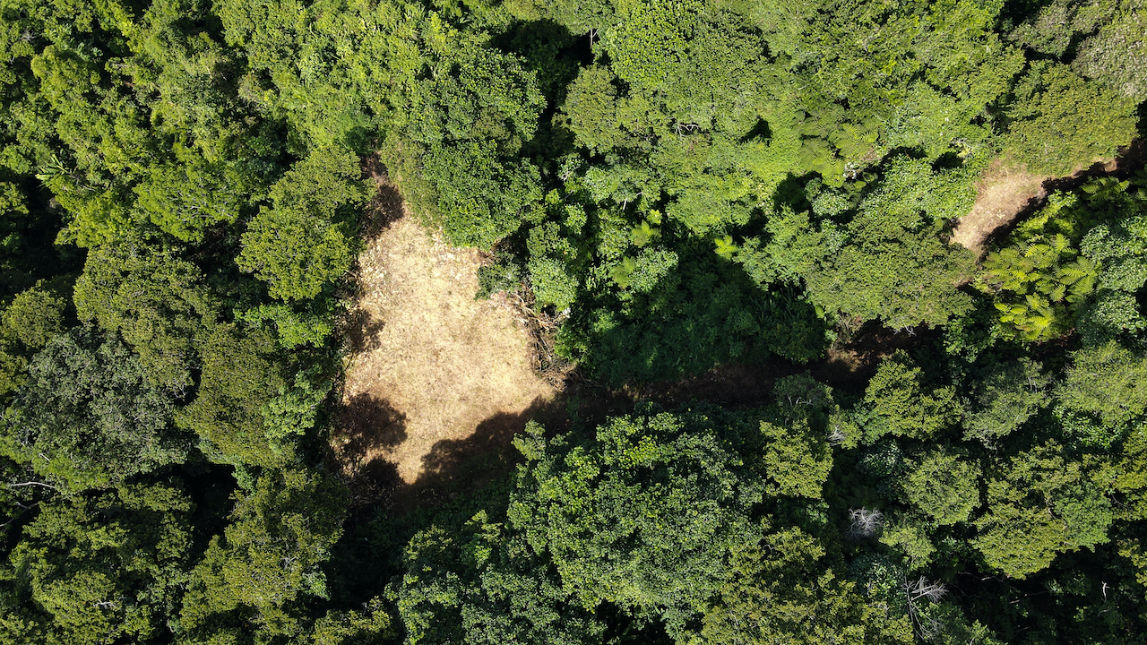 0 bed Land For Sale in Dominical, Puntarenas - thumb 25