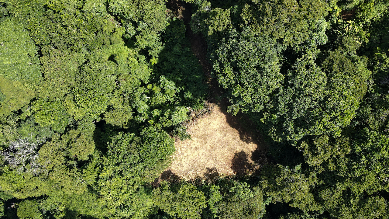 0 bed Land For Sale in Dominical, Puntarenas - thumb 23