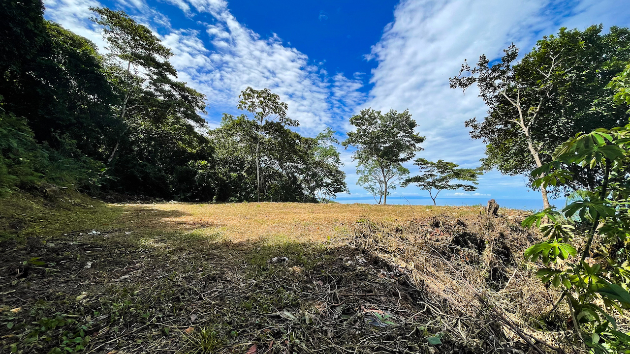 0 bed Land For Sale in Dominical, Puntarenas - thumb 9
