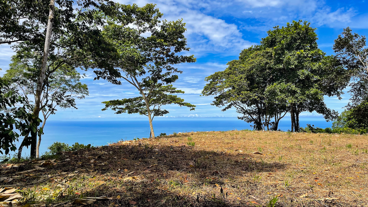 0 bed Land For Sale in Dominical, Puntarenas - thumb 6