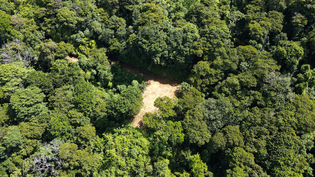 0 bed Land For Sale in Dominical, Puntarenas - thumb 24