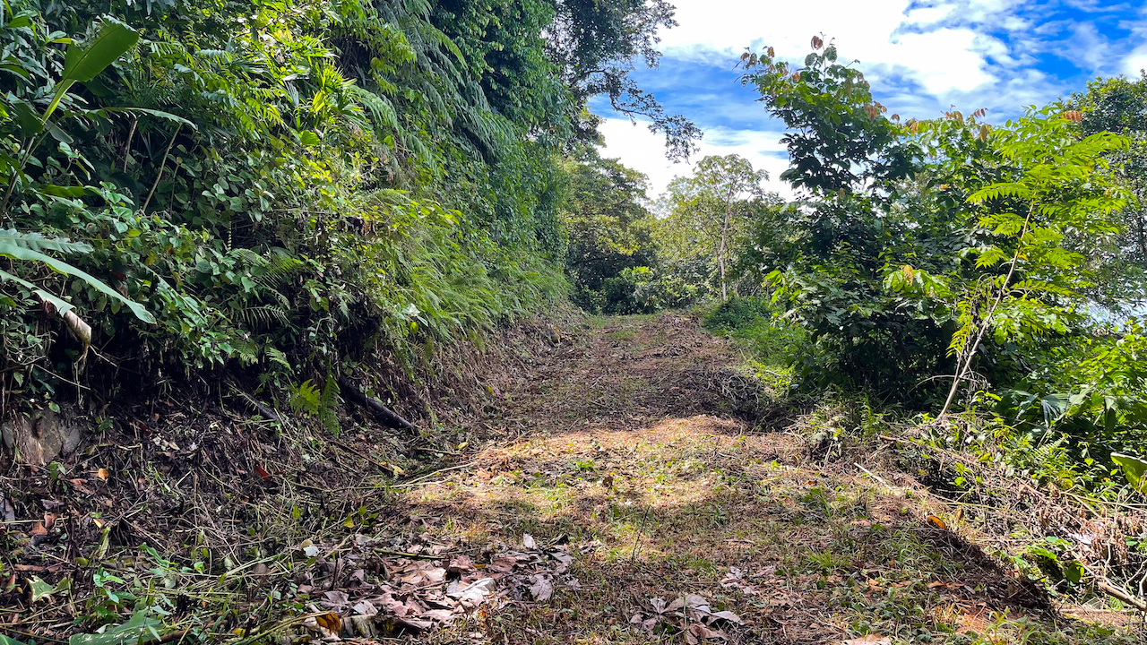 0 bed Land For Sale in Dominical, Puntarenas - thumb 21