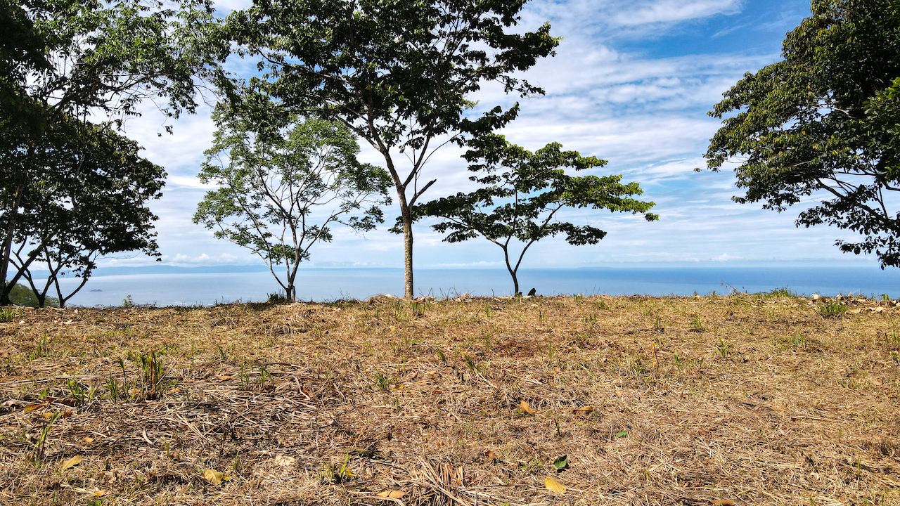 0 bed Land For Sale in Dominical, Puntarenas - thumb 8