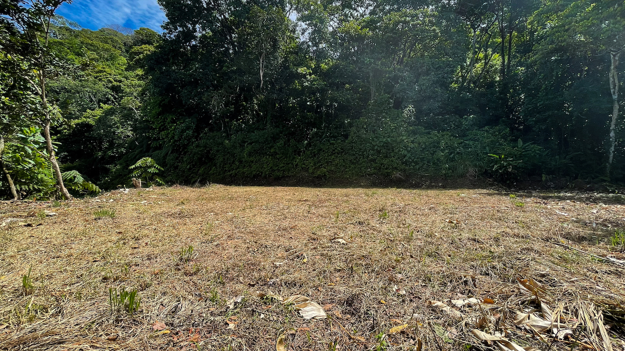 0 bed Land For Sale in Dominical, Puntarenas - thumb 13