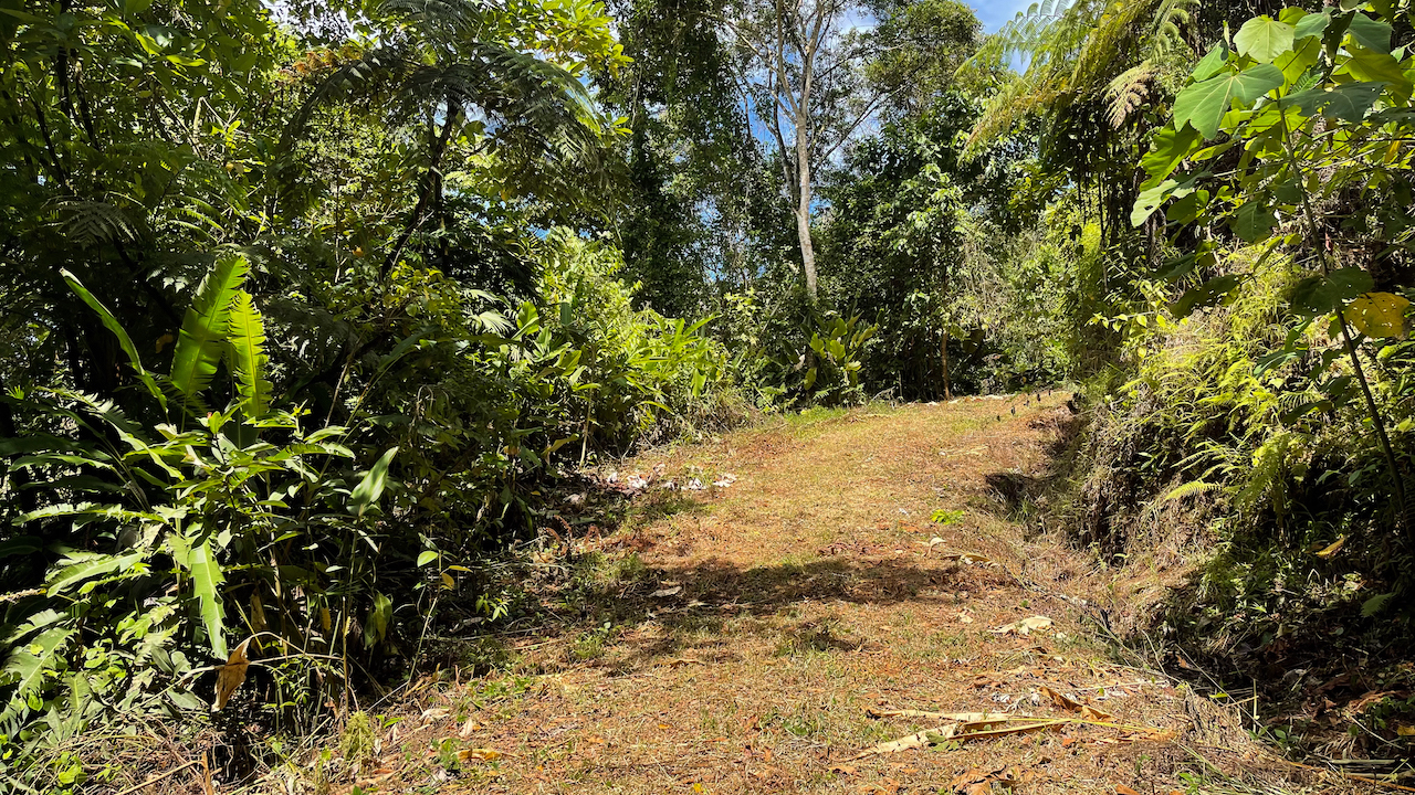 0 bed Land For Sale in Dominical, Puntarenas - thumb 14