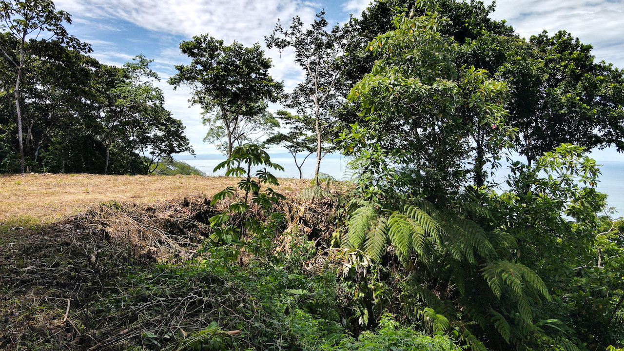 0 bed Land For Sale in Dominical, Puntarenas - thumb 16