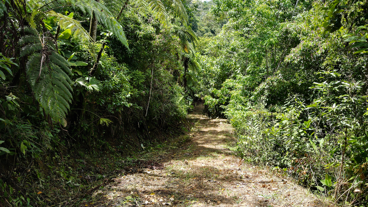 0 bed Land For Sale in Dominical, Puntarenas - thumb 15