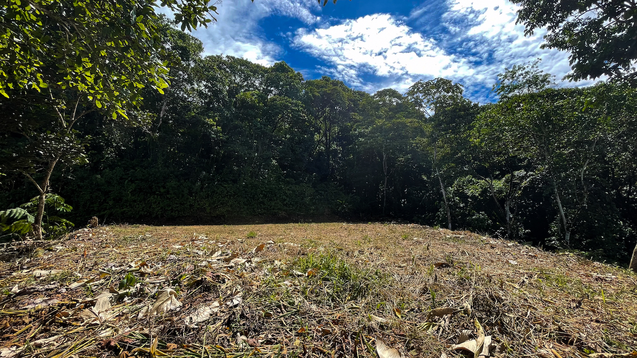 0 bed Land For Sale in Dominical, Puntarenas - thumb 20