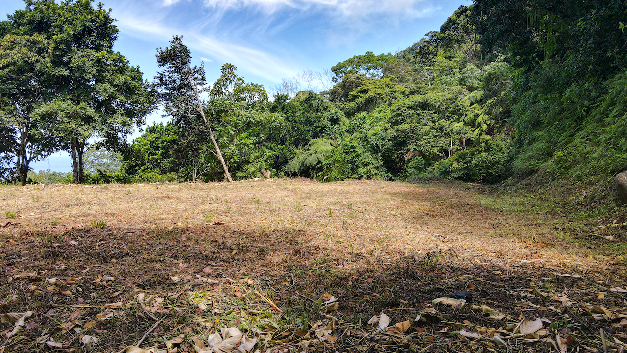 0 bed Land For Sale in Dominical, Puntarenas - thumb 12