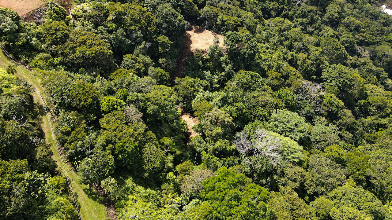 0 bed Land For Sale in Dominical, Puntarenas - thumb 22