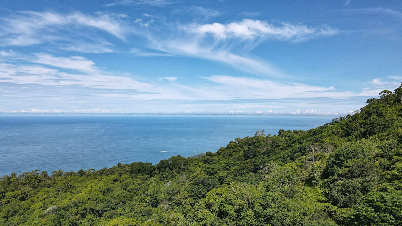 0 bed Land For Sale in Dominical, Puntarenas - thumb 5