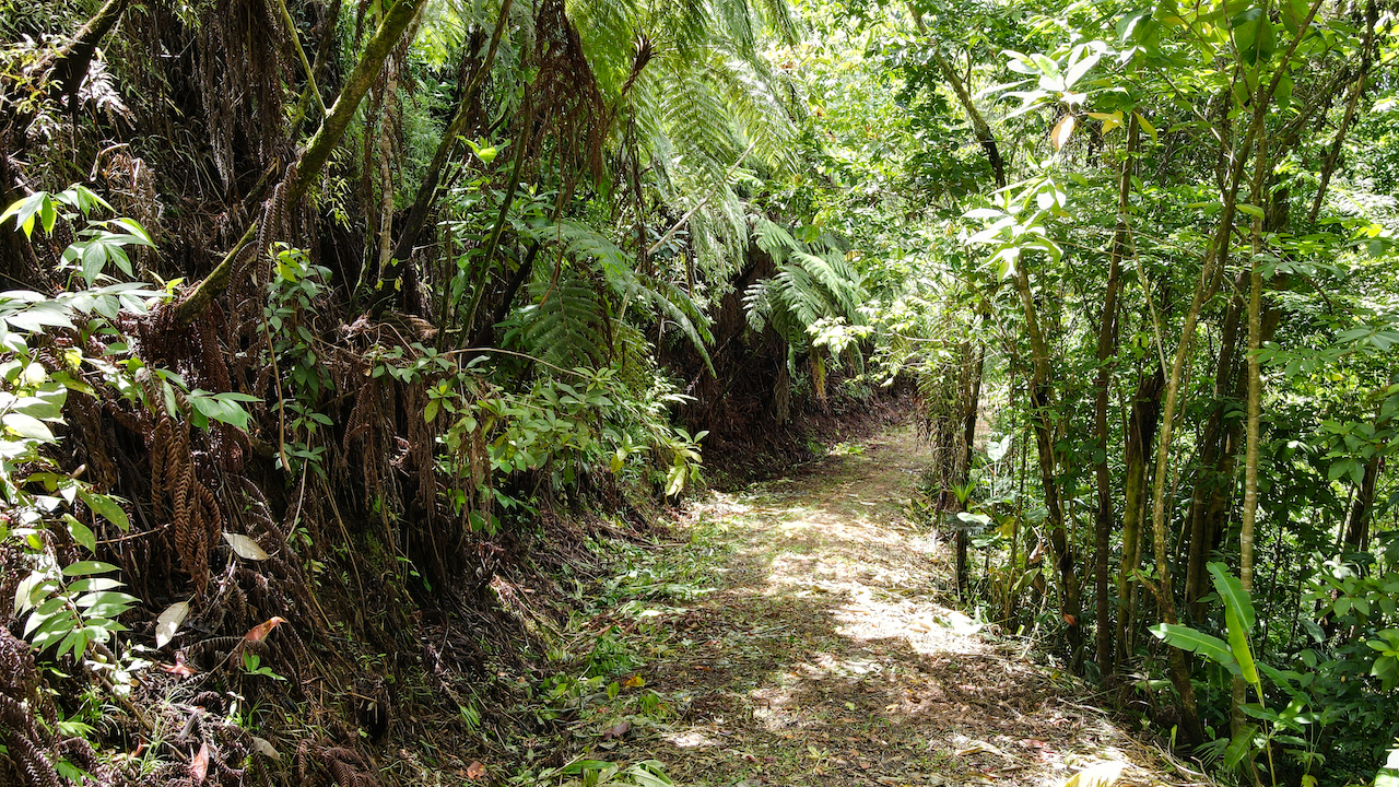 0 bed Land For Sale in Dominical, Puntarenas - thumb 17