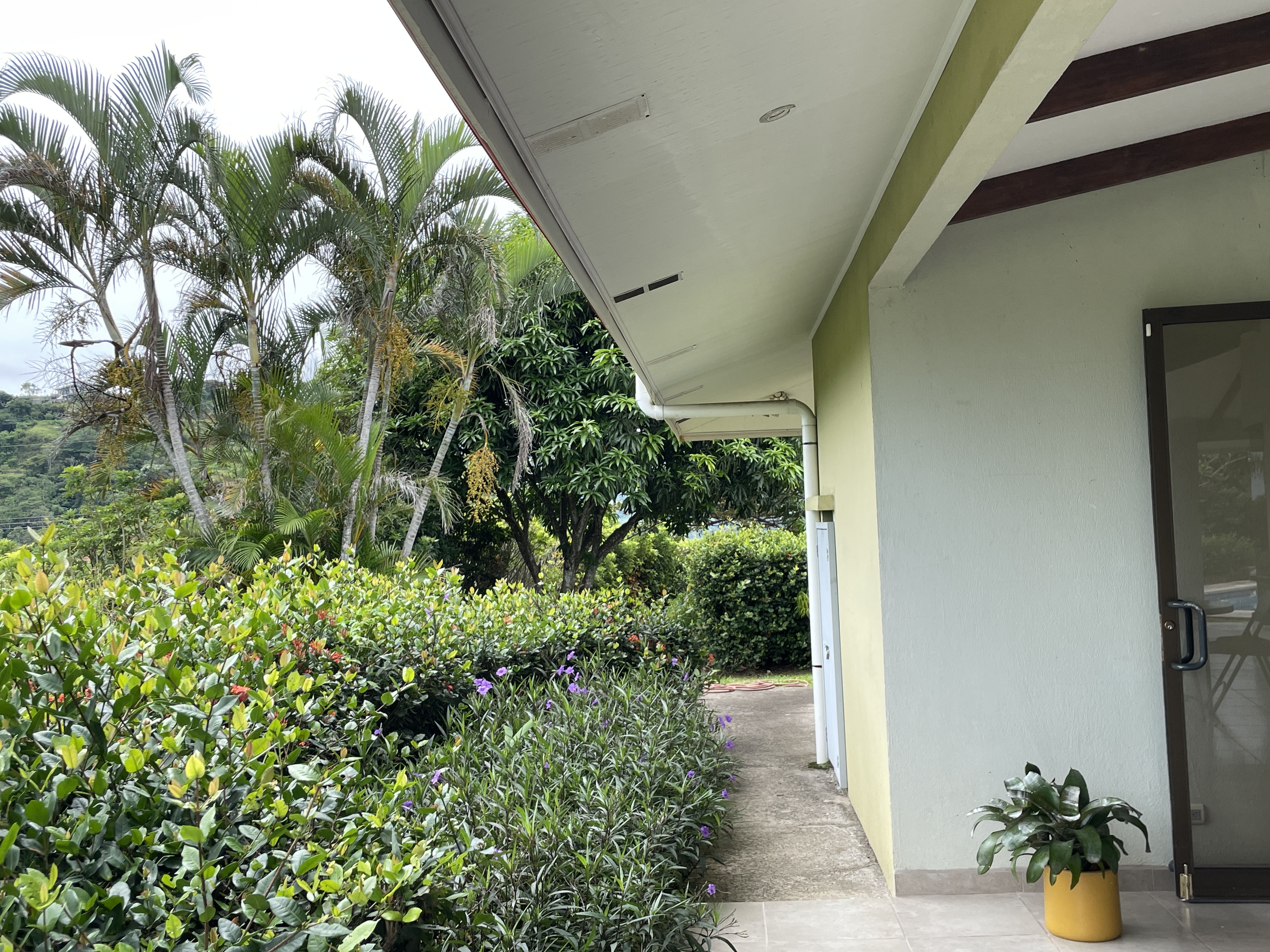 3 bed Single Family Homes For Sale in Atenas, Alajuela - thumb 9