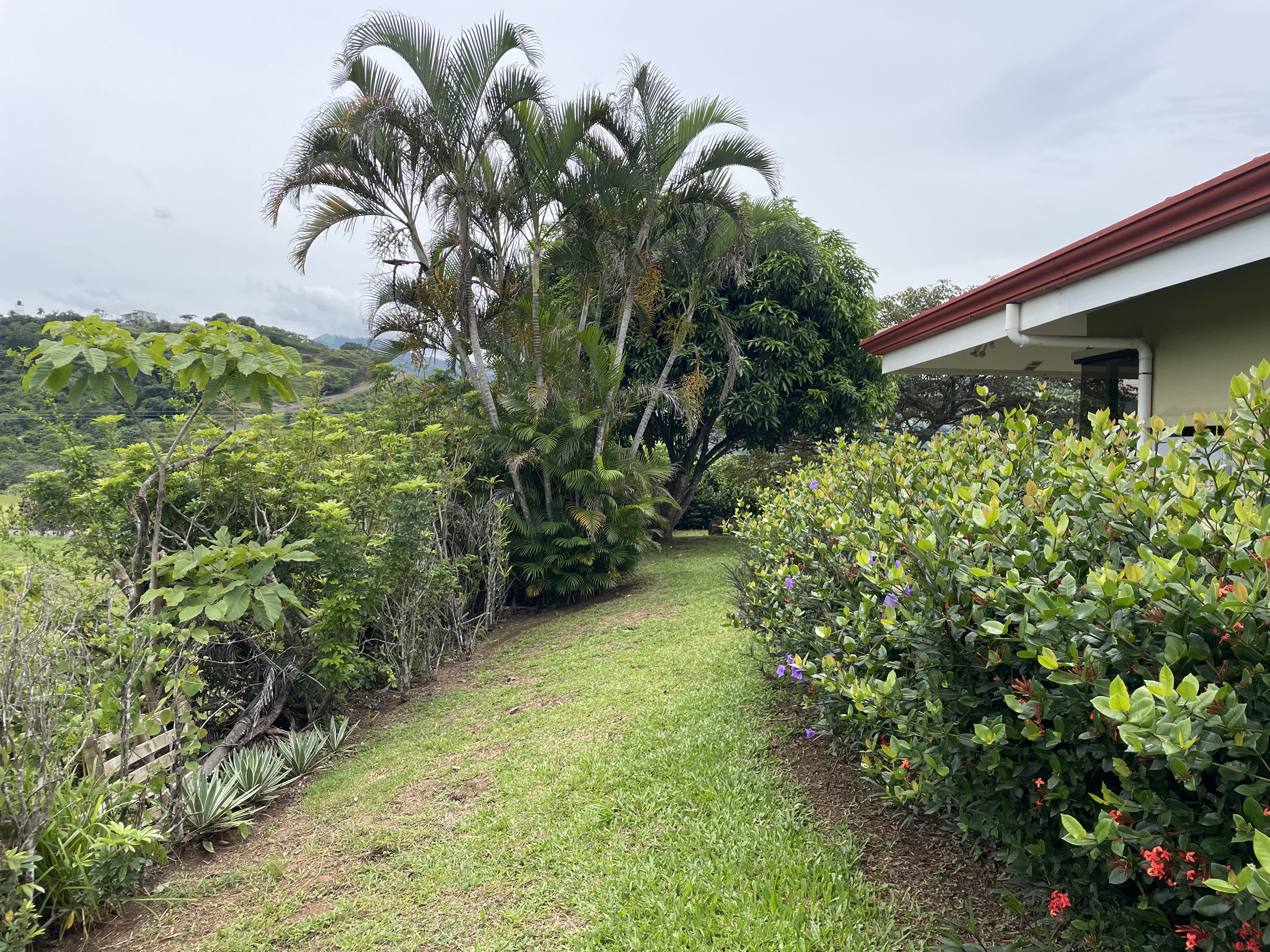 3 bed Single Family Homes For Sale in Atenas, Alajuela - thumb 7