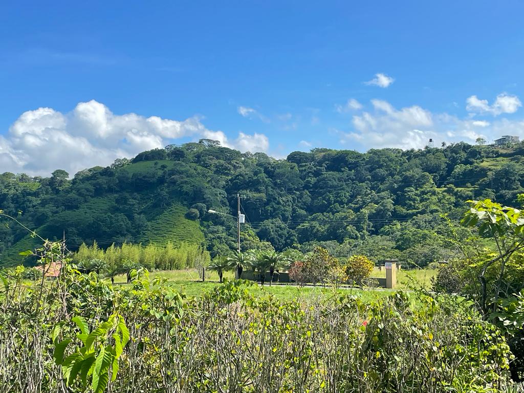 3 bed Single Family Homes For Sale in Atenas, Alajuela - thumb 28