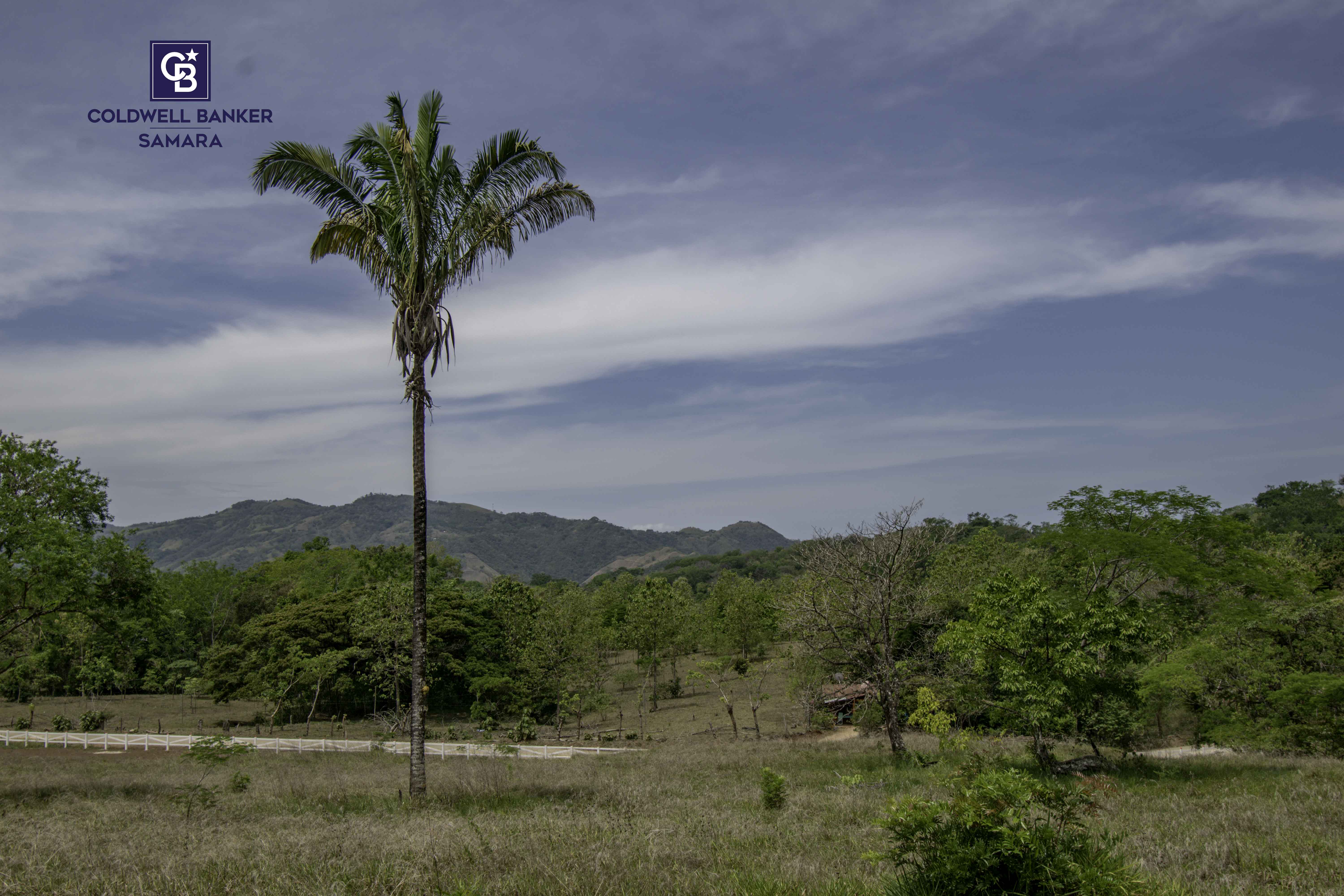 0 bed Land For Sale in Samara, Guanacaste - thumb 1