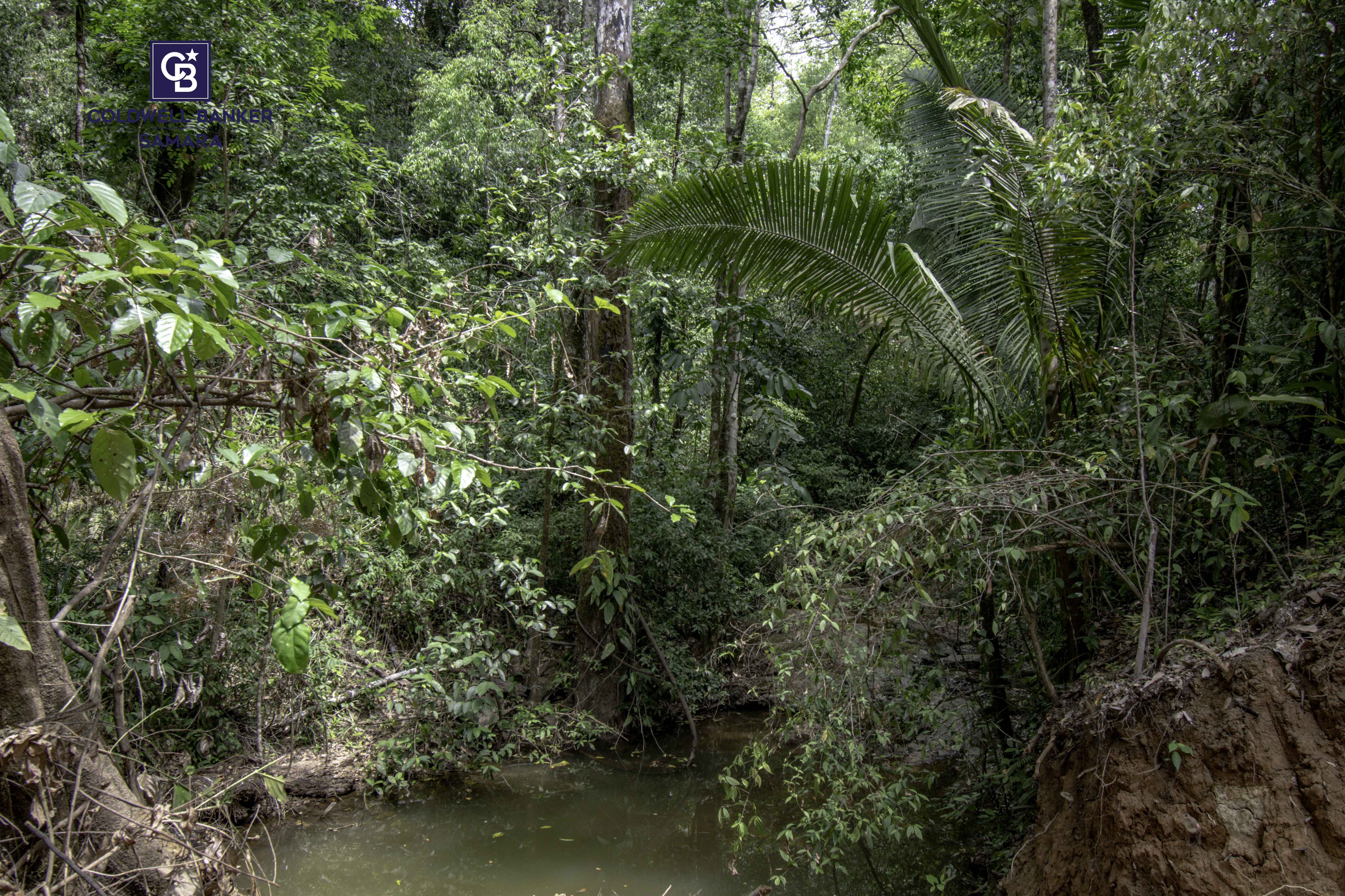 0 bed Land For Sale in Samara, Guanacaste - thumb 11