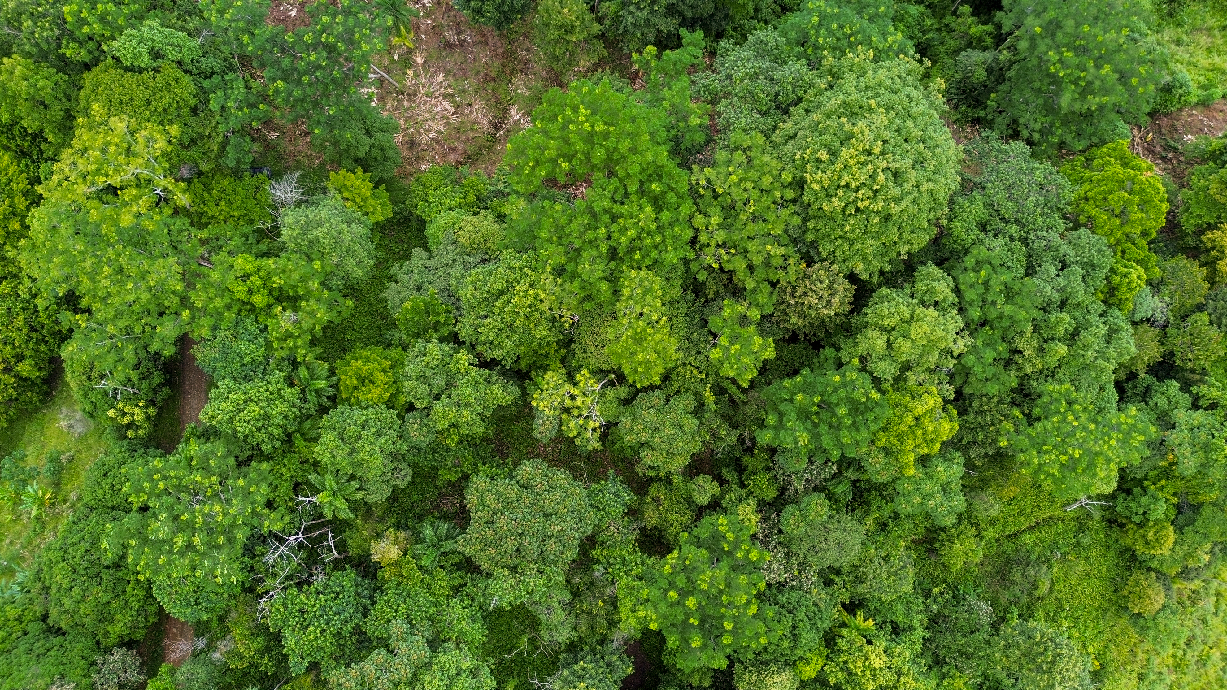 0 bed Land For Sale in Playa Ventanas, Puntarenas - thumb 8