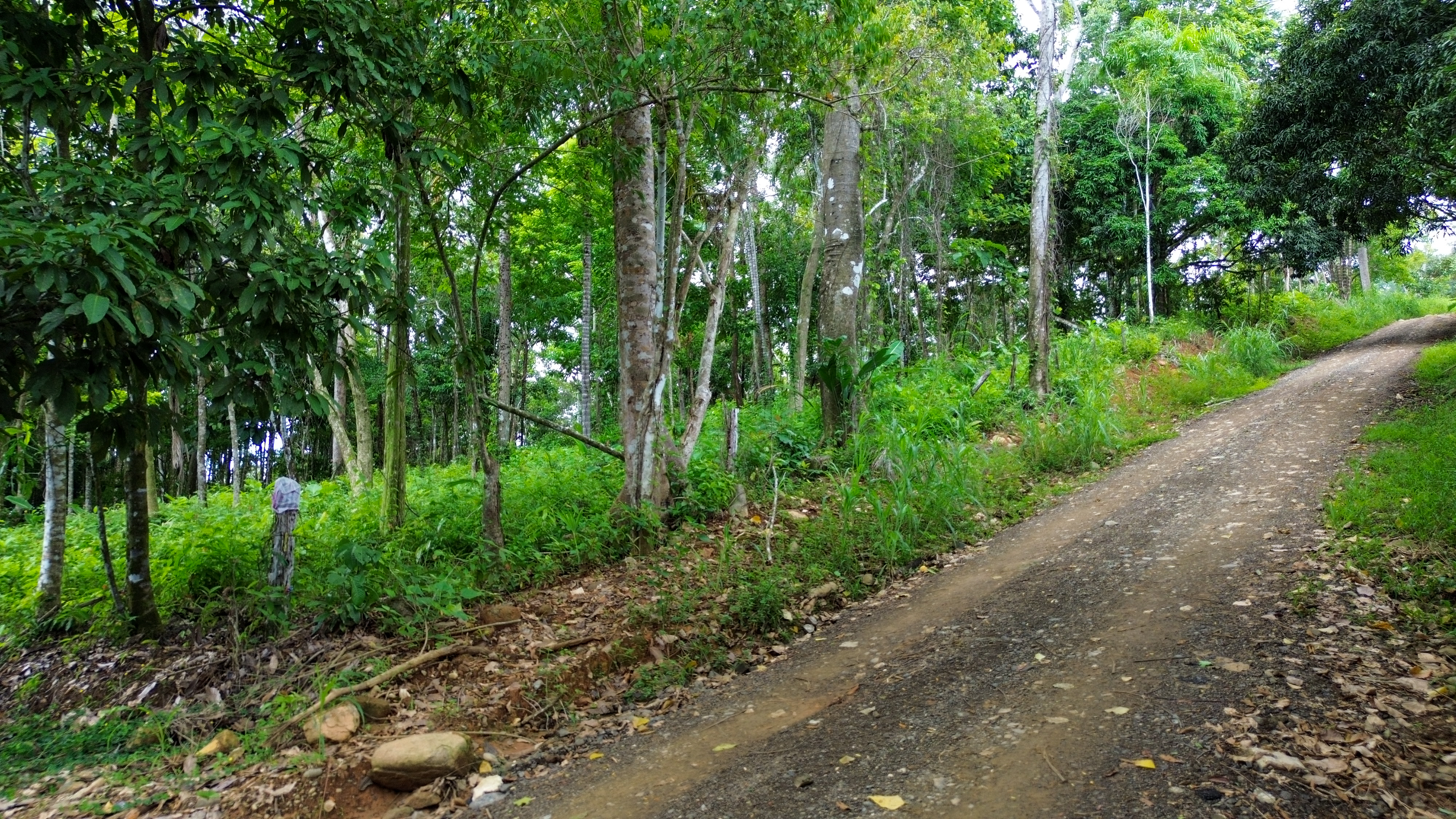 0 bed Land For Sale in Playa Ventanas, Puntarenas - thumb 1