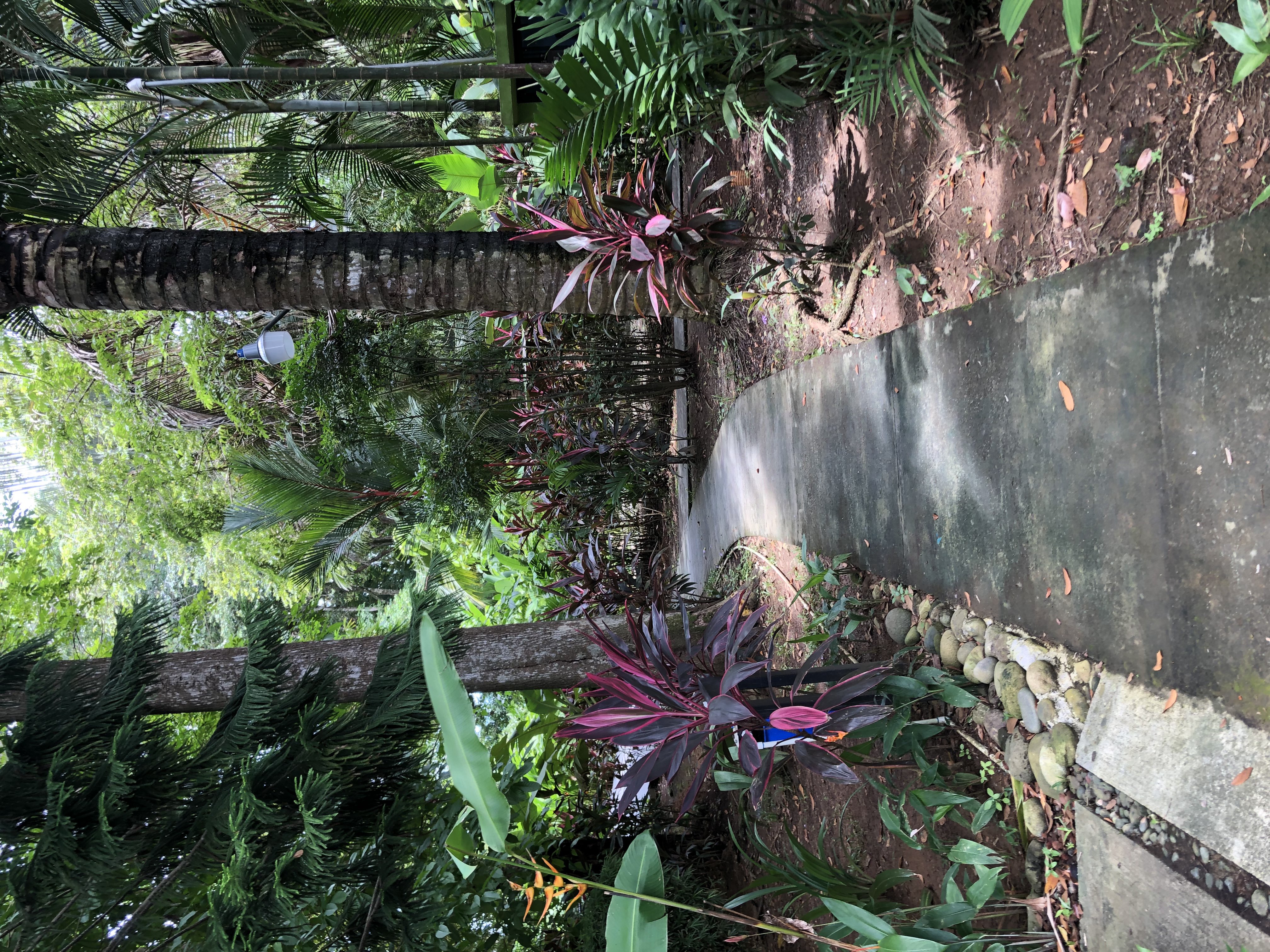 2 bed Single Family Homes For Sale in Bejuco, Puntarenas - thumb 17