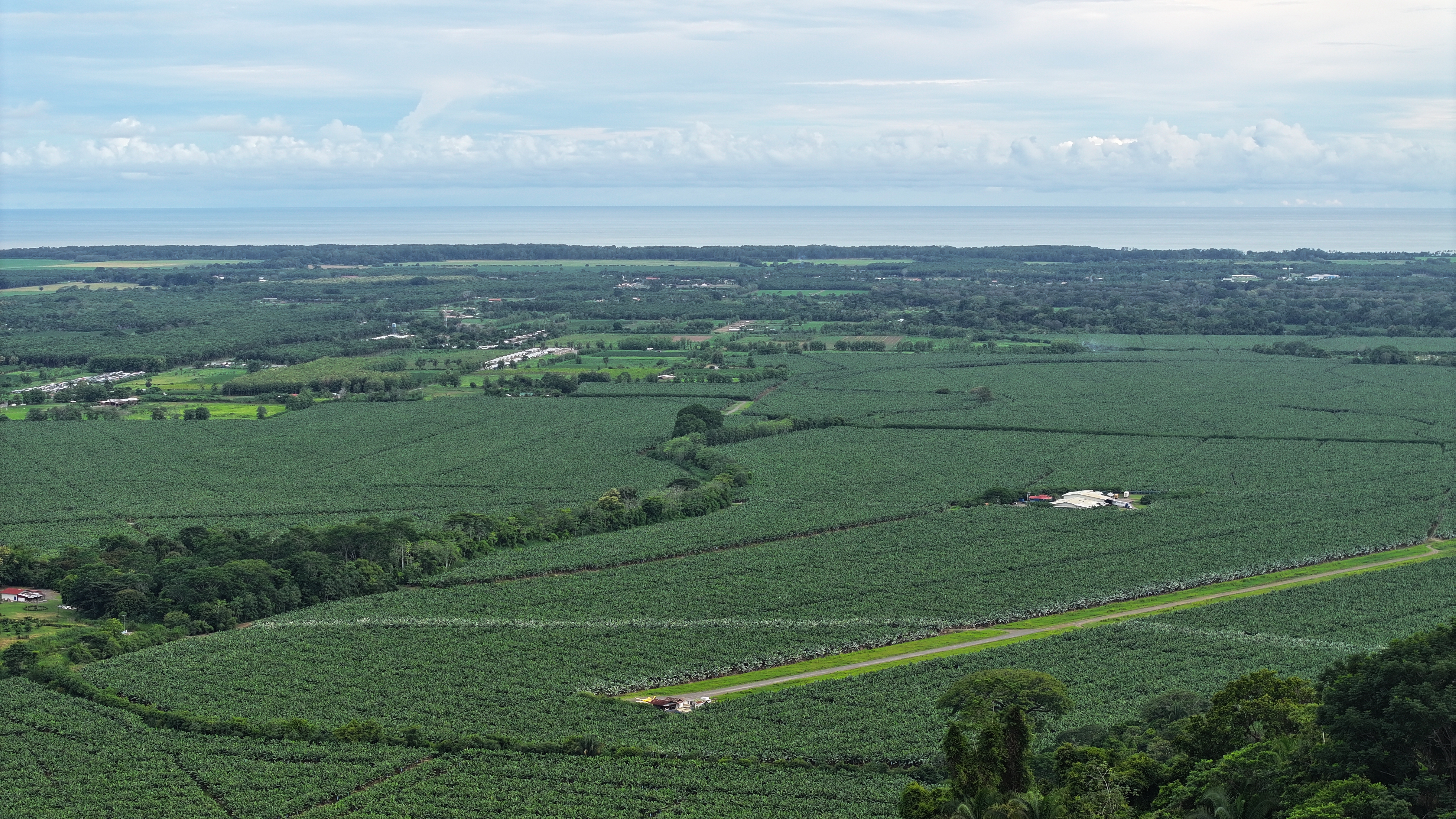 0 bed Land For Sale in Parrita, Puntarenas - thumb 4