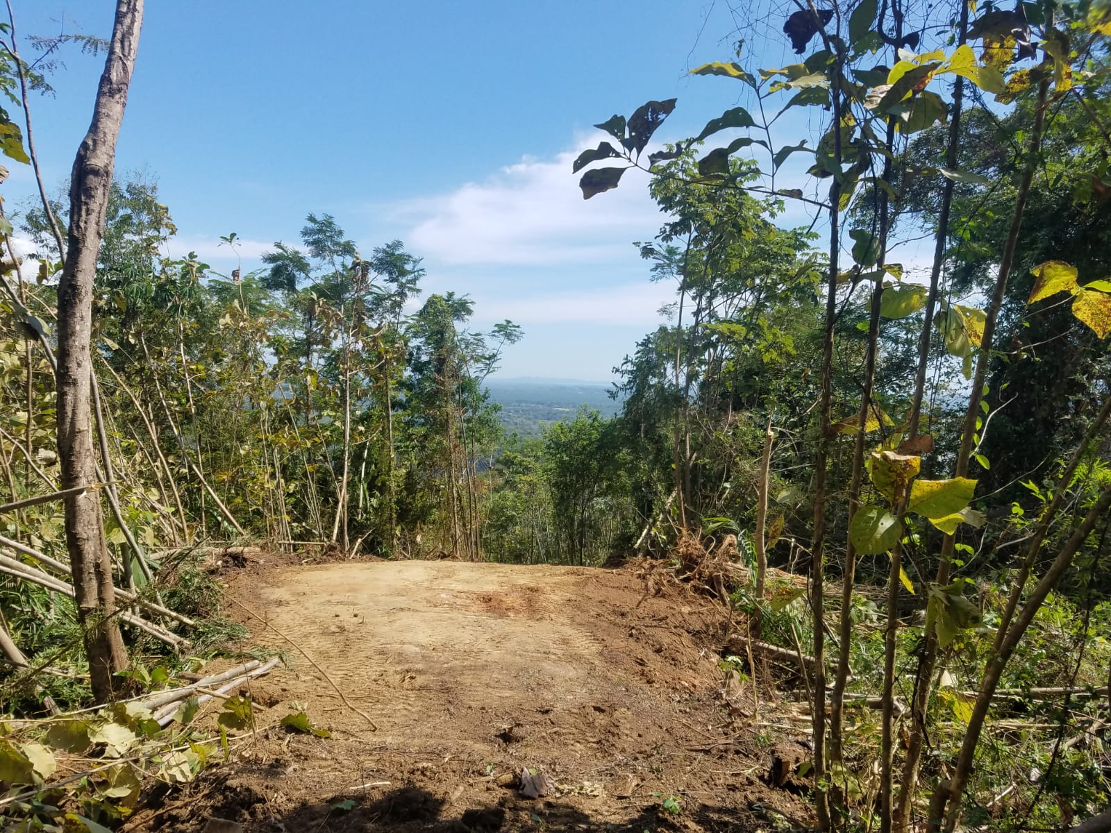 0 bed Land For Sale in Parrita, Puntarenas - thumb 6