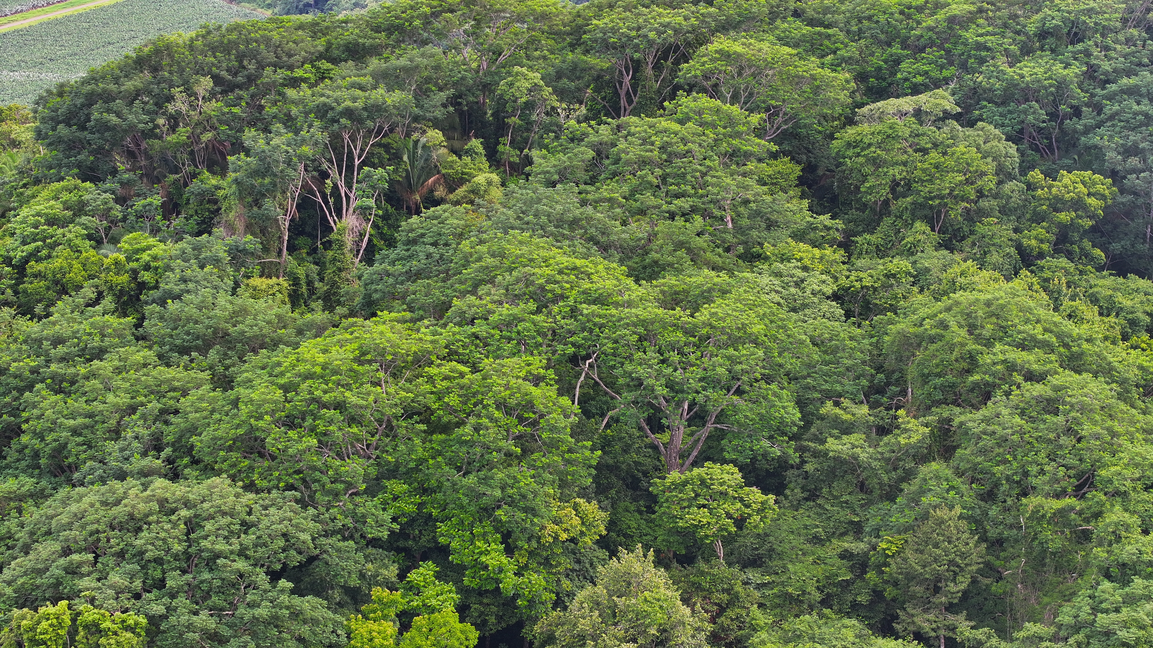 0 bed Land For Sale in Parrita, Puntarenas - thumb 10