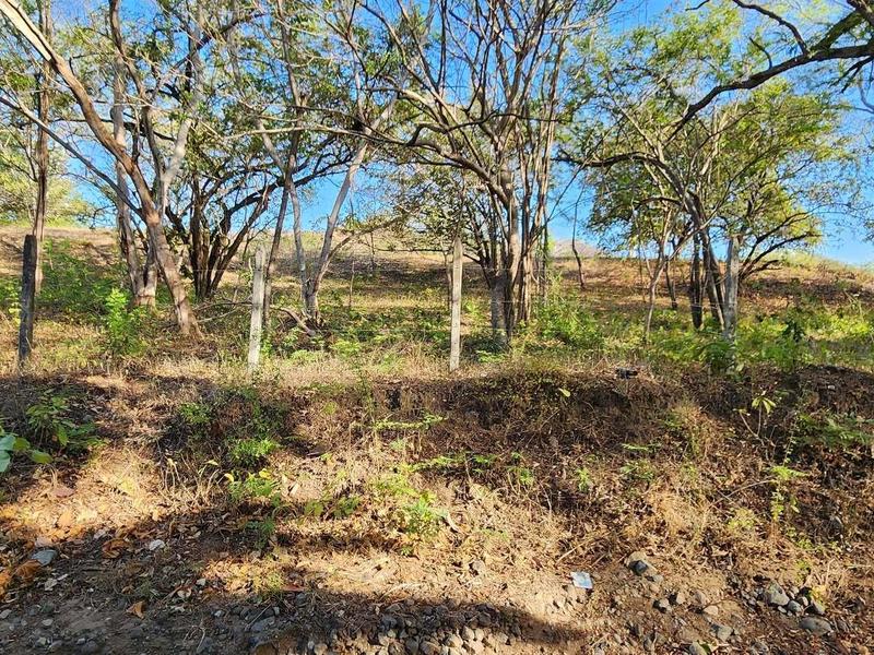 0 bed Land For Sale in Ocotal, Guanacaste - 1