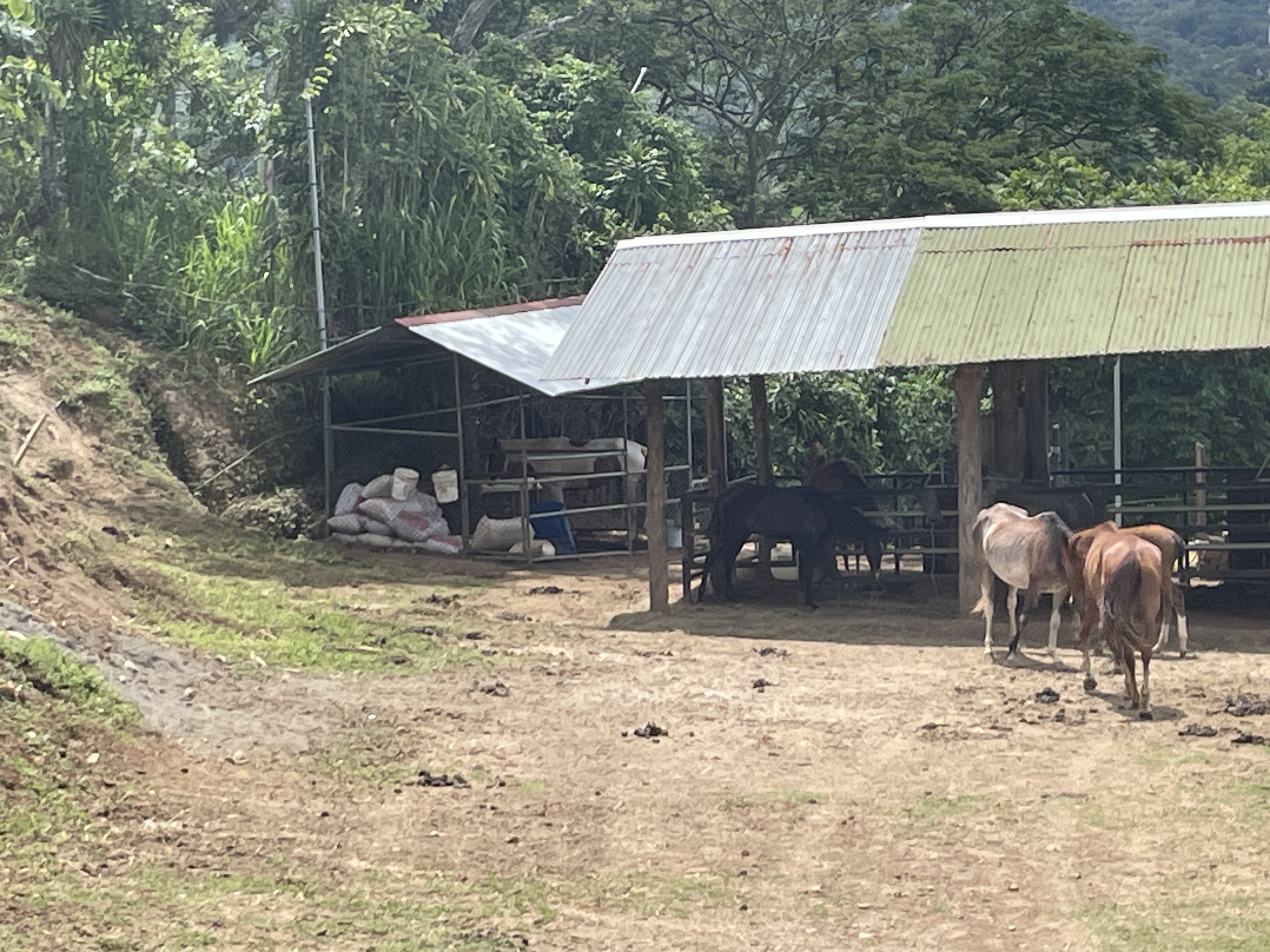 4 bed Single Family Homes For Sale in Atenas, Alajuela - thumb 21