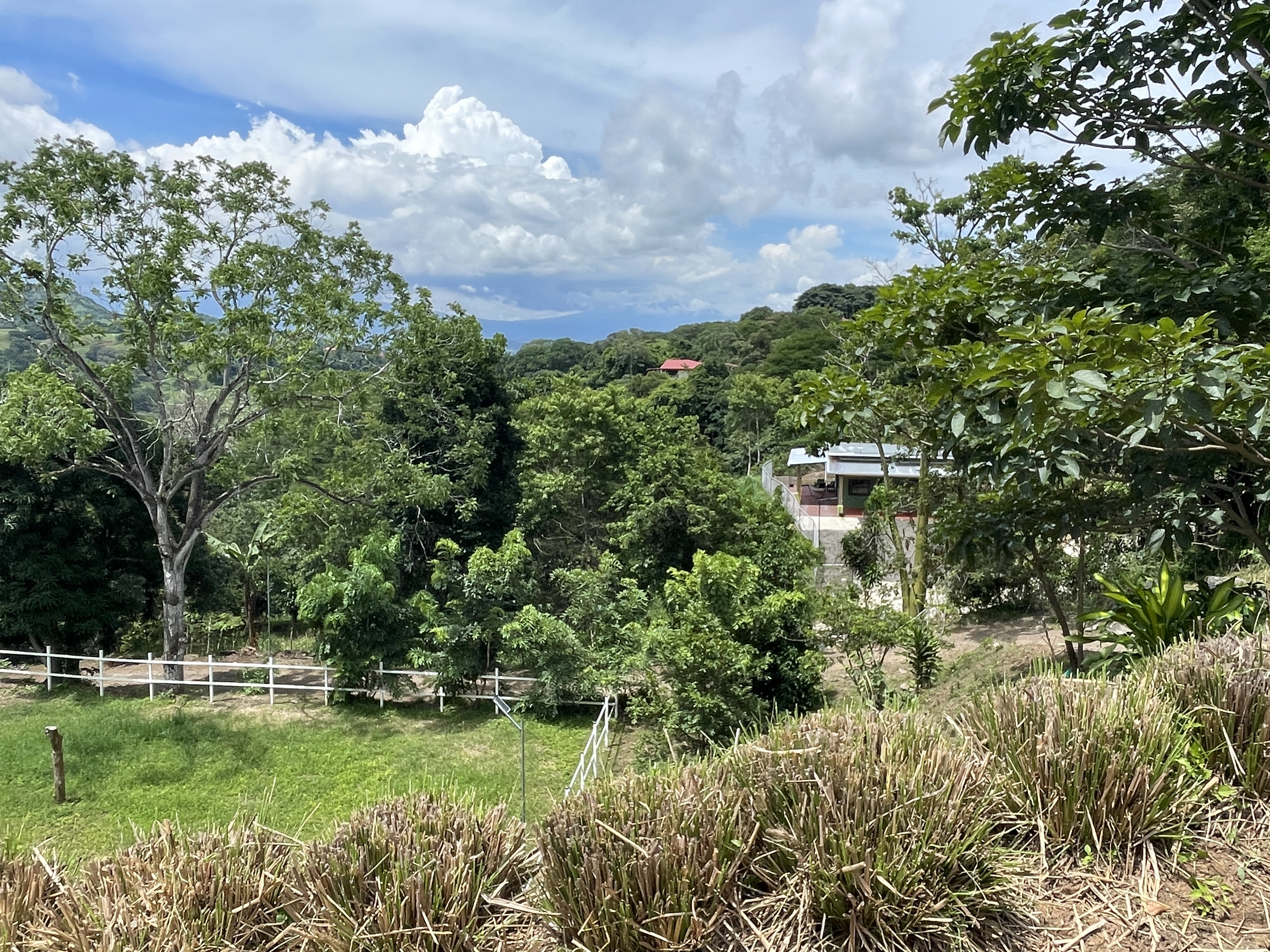 4 bed Single Family Homes For Sale in Atenas, Alajuela - thumb 7