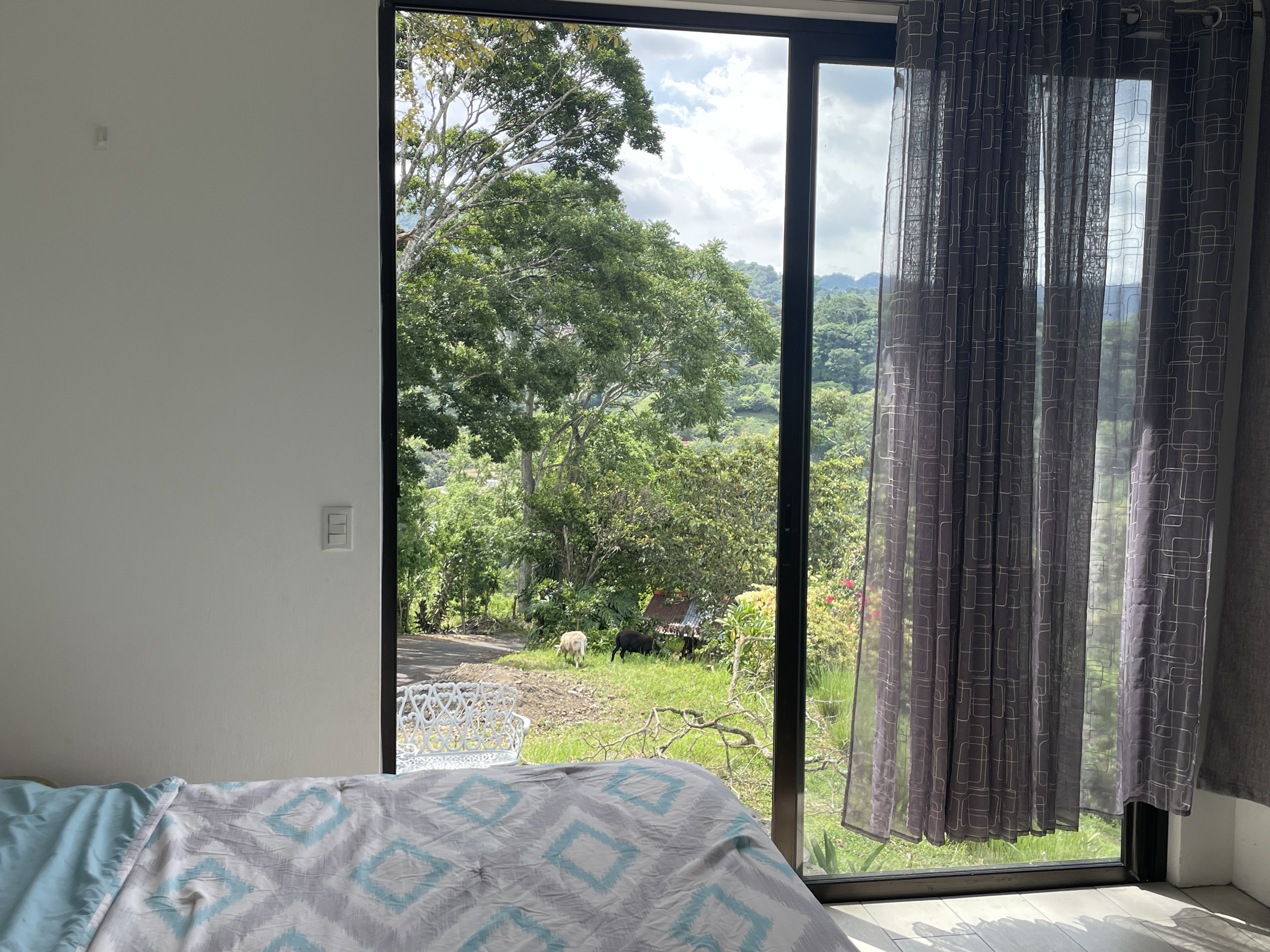 4 bed Single Family Homes For Sale in Atenas, Alajuela - thumb 16