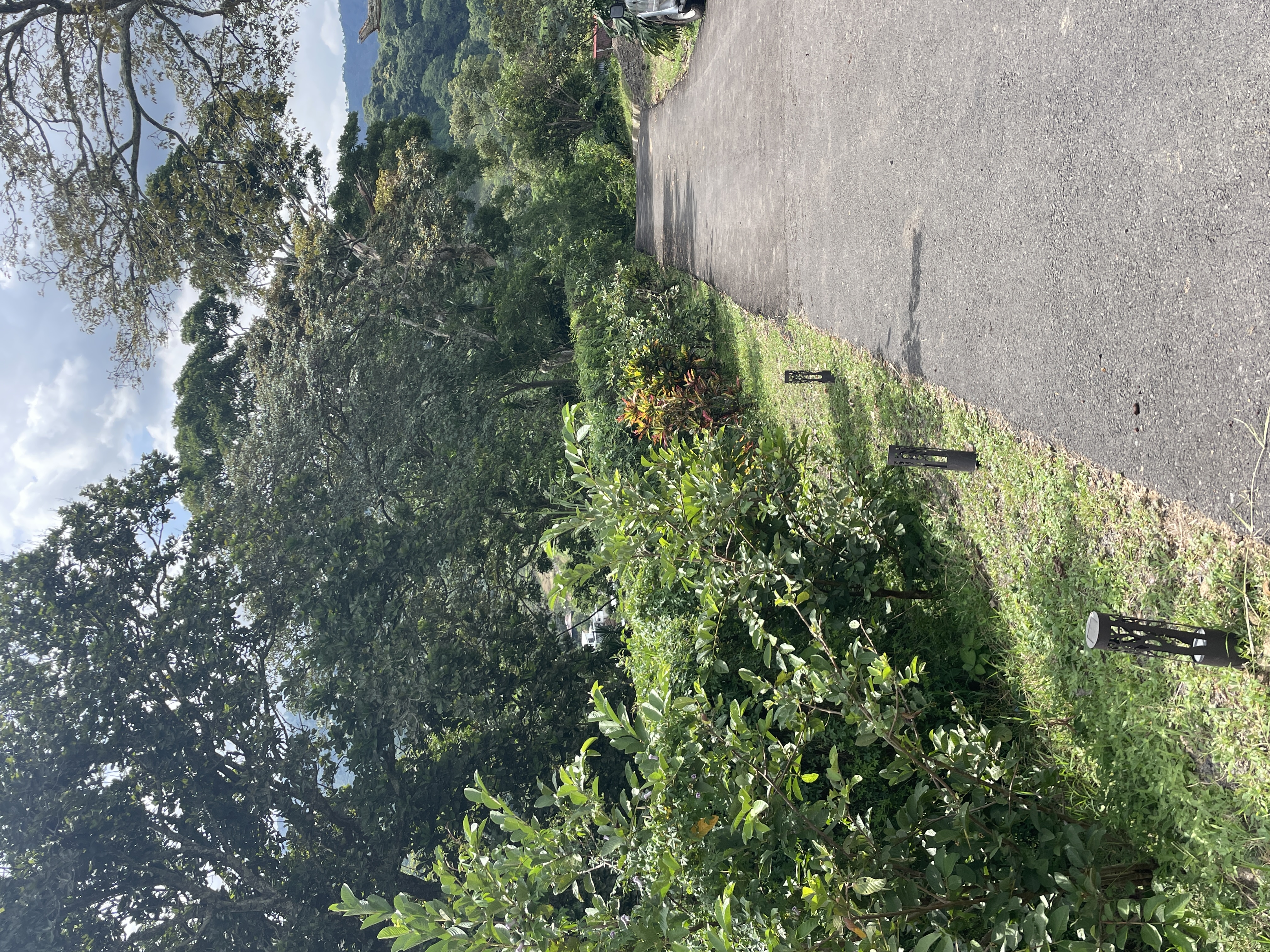 4 bed Single Family Homes For Sale in Atenas, Alajuela - thumb 25