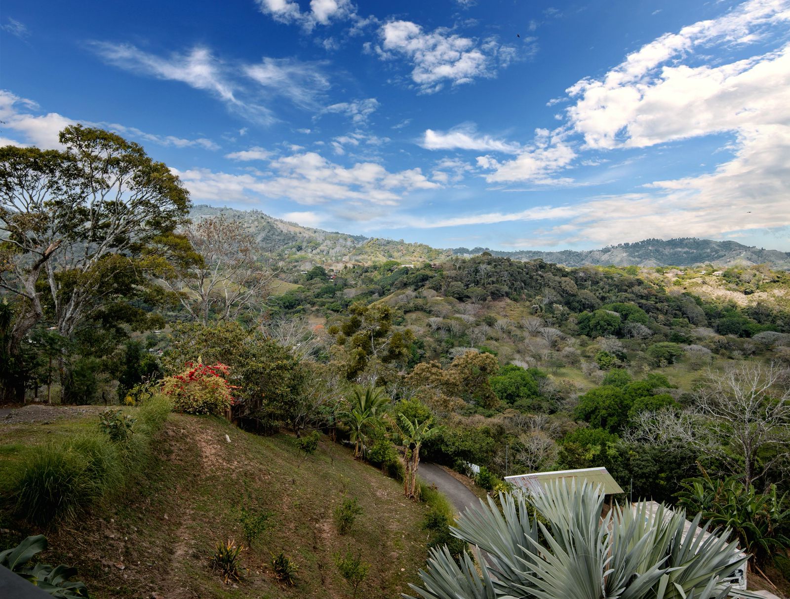 4 bed Single Family Homes For Sale in Atenas, Alajuela - thumb 30