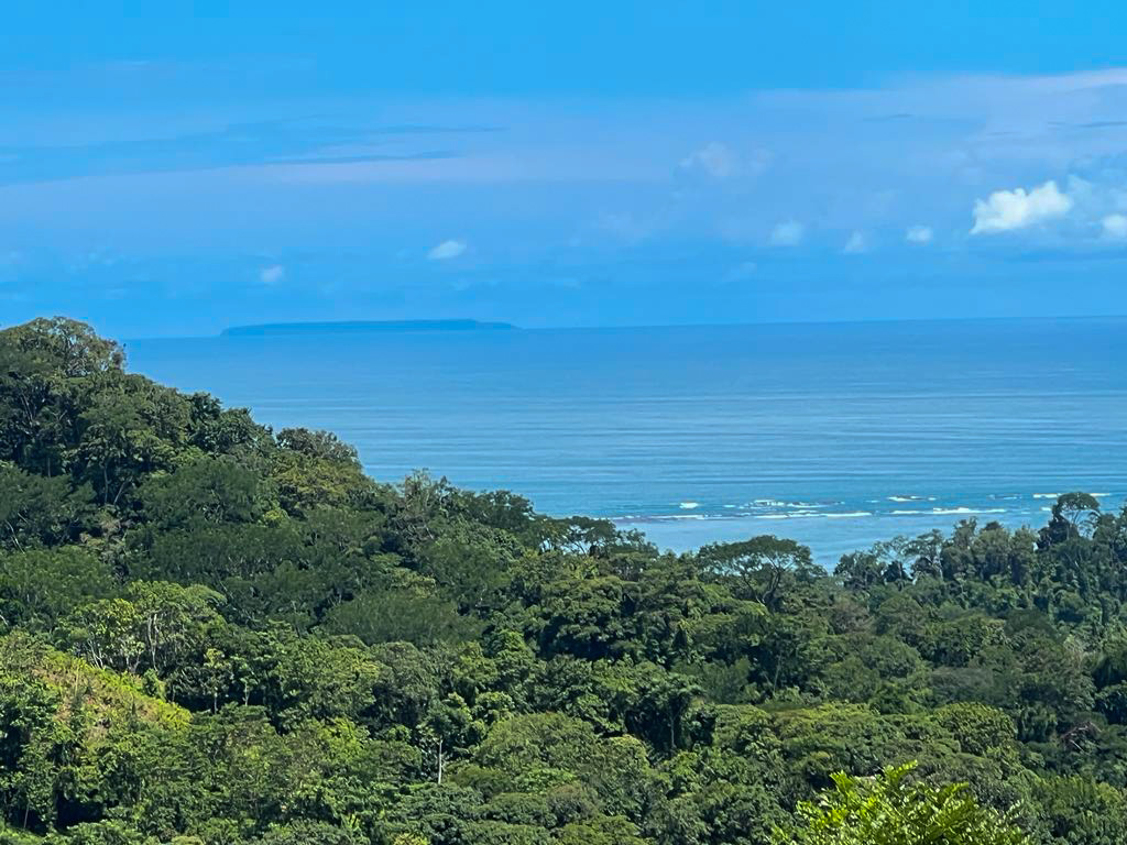 0 bed Land For Sale in Uvita, Puntarenas - thumb 5