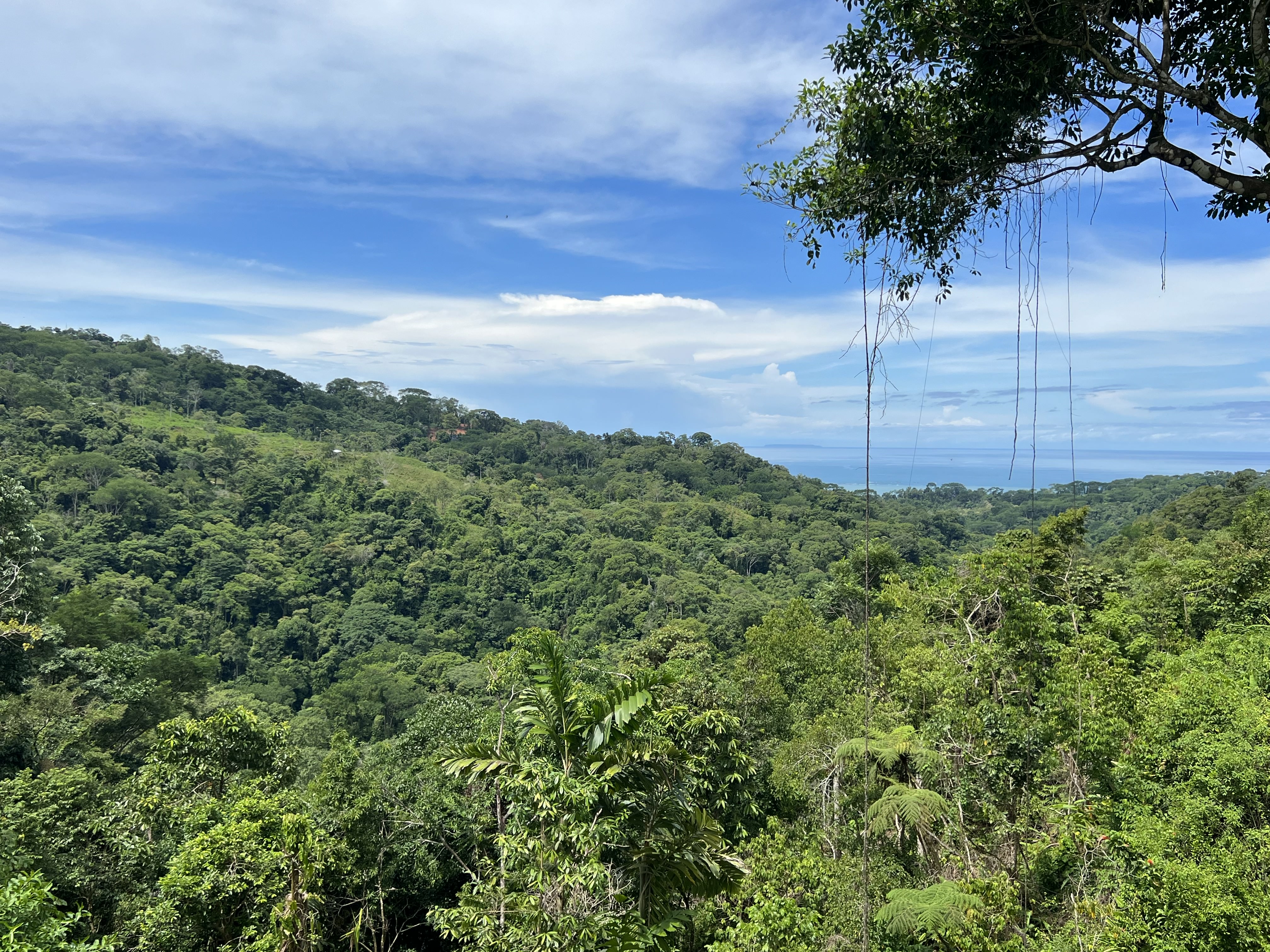 0 bed Land For Sale in Uvita, Puntarenas - thumb 8