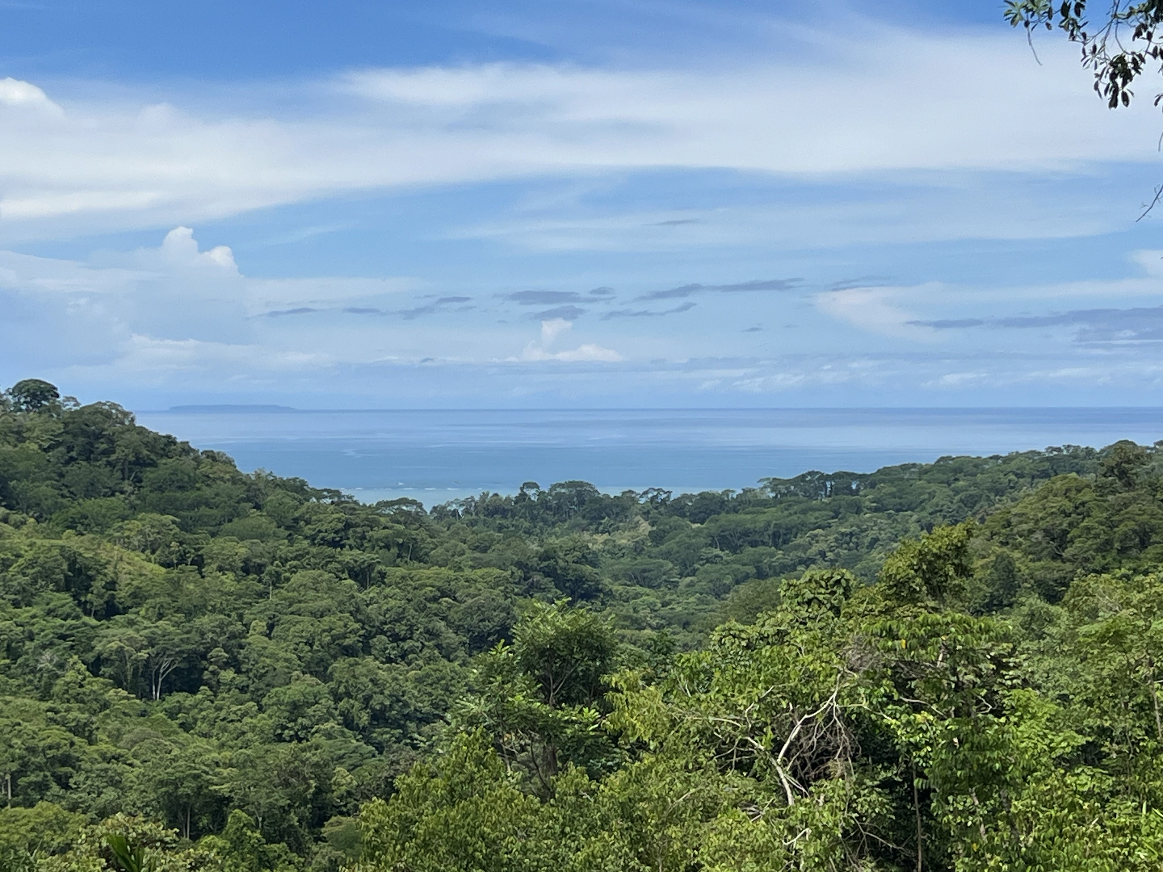 0 bed Land For Sale in Uvita, Puntarenas - thumb 2