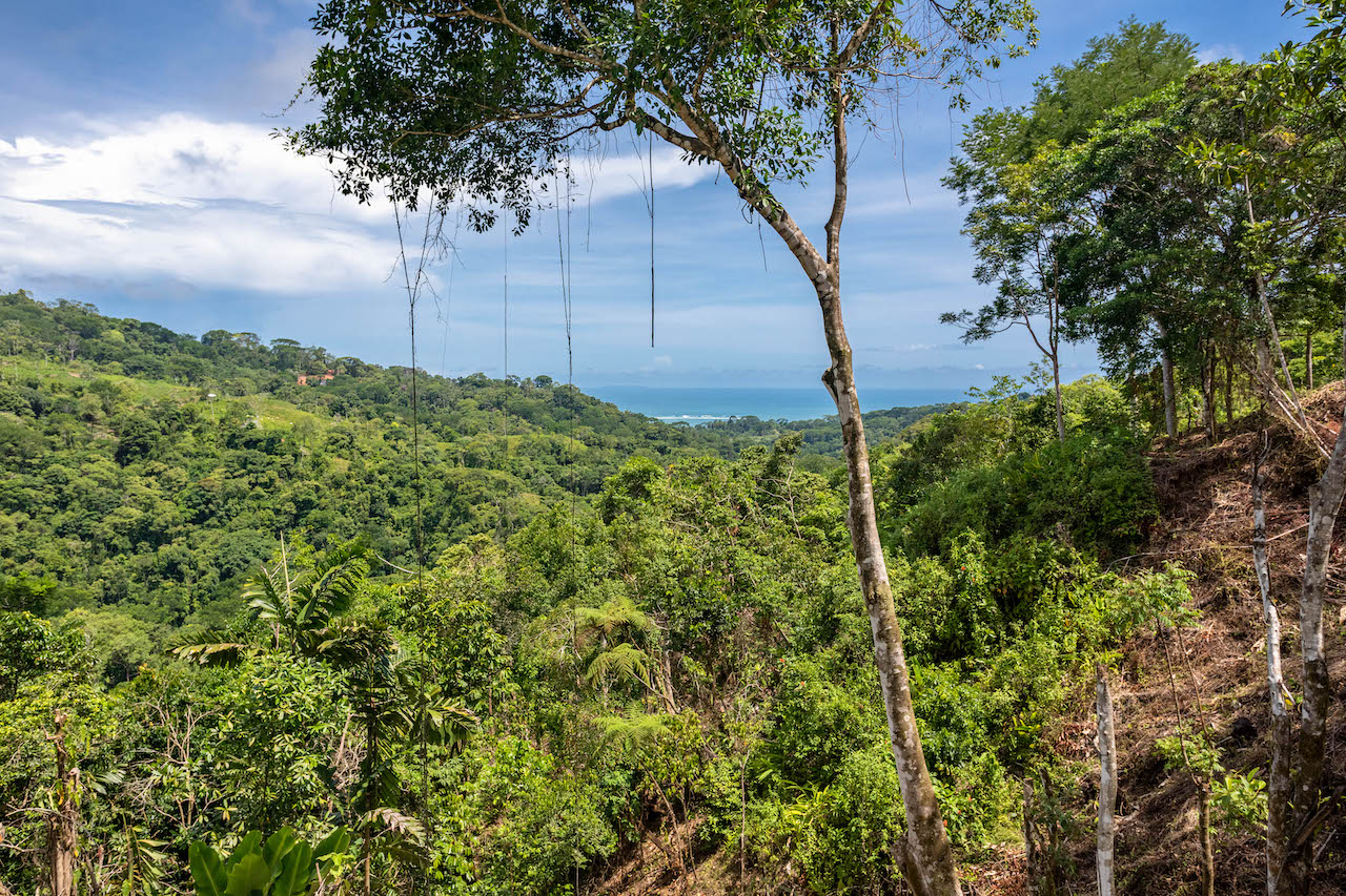 0 bed Land For Sale in Uvita, Puntarenas - thumb 15