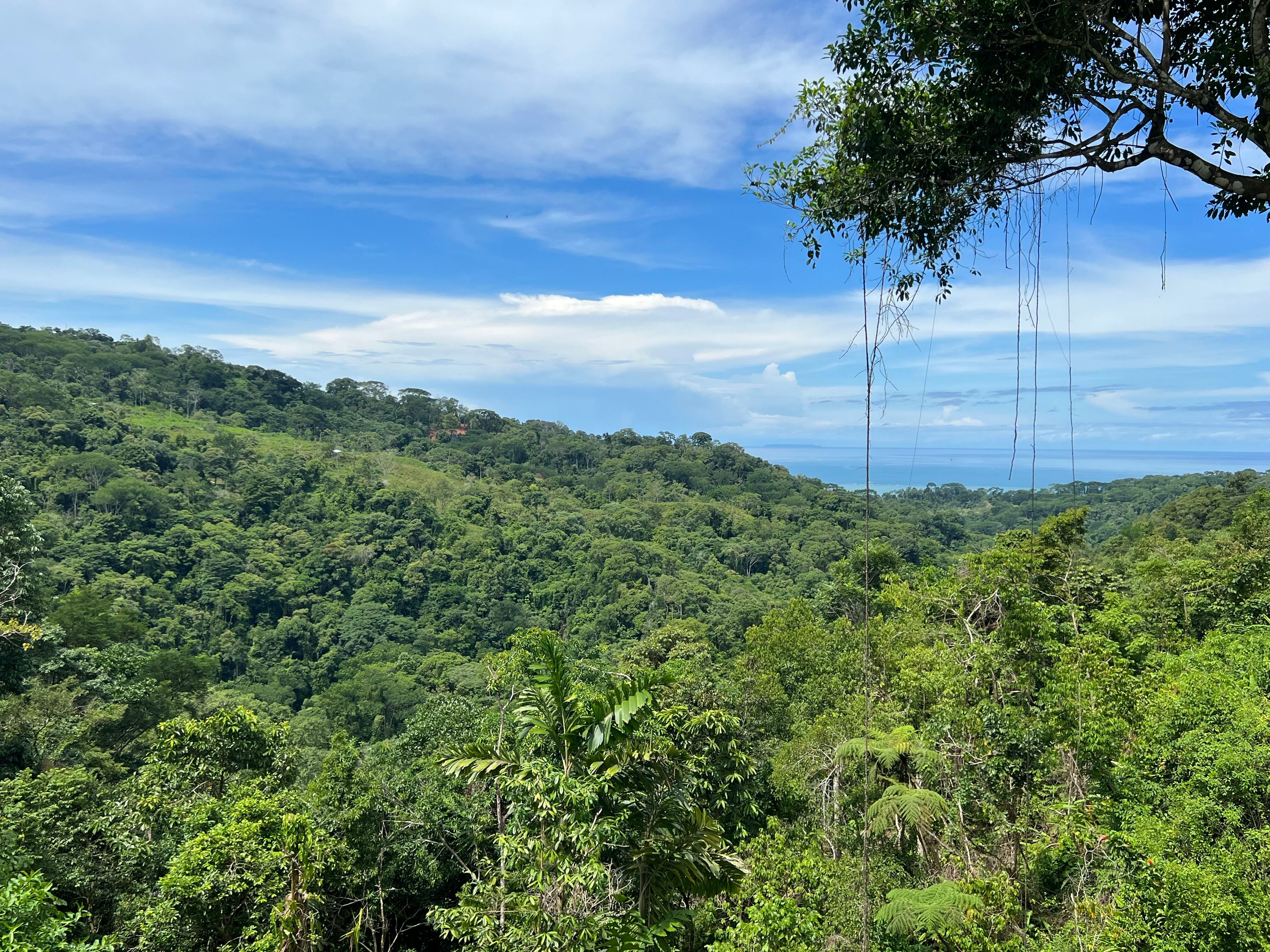 0 bed Land For Sale in Uvita, Puntarenas - thumb 7