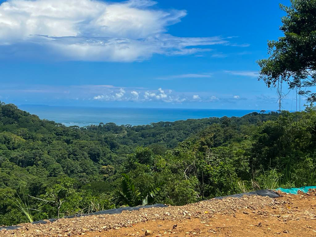 0 bed Land For Sale in Uvita, Puntarenas - thumb 6
