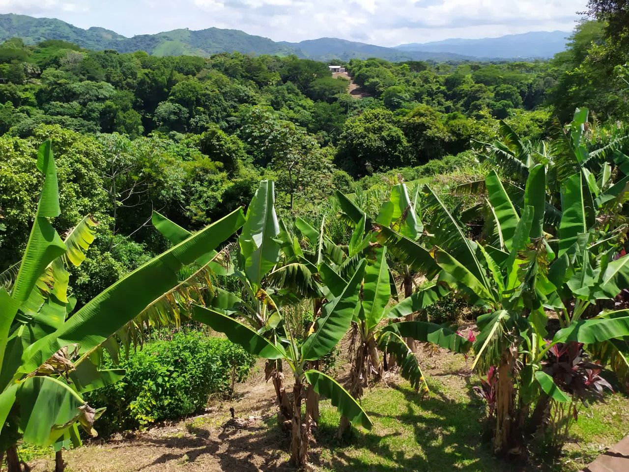 3 bed Single Family Homes For Rent in Atenas, Alajuela - thumb 23