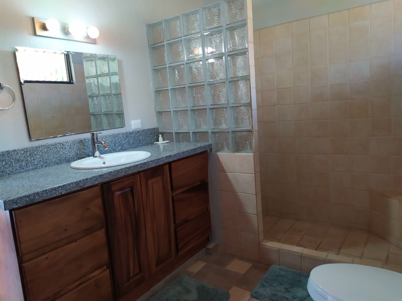 3 bed Single Family Homes For Rent in Atenas, Alajuela - thumb 17