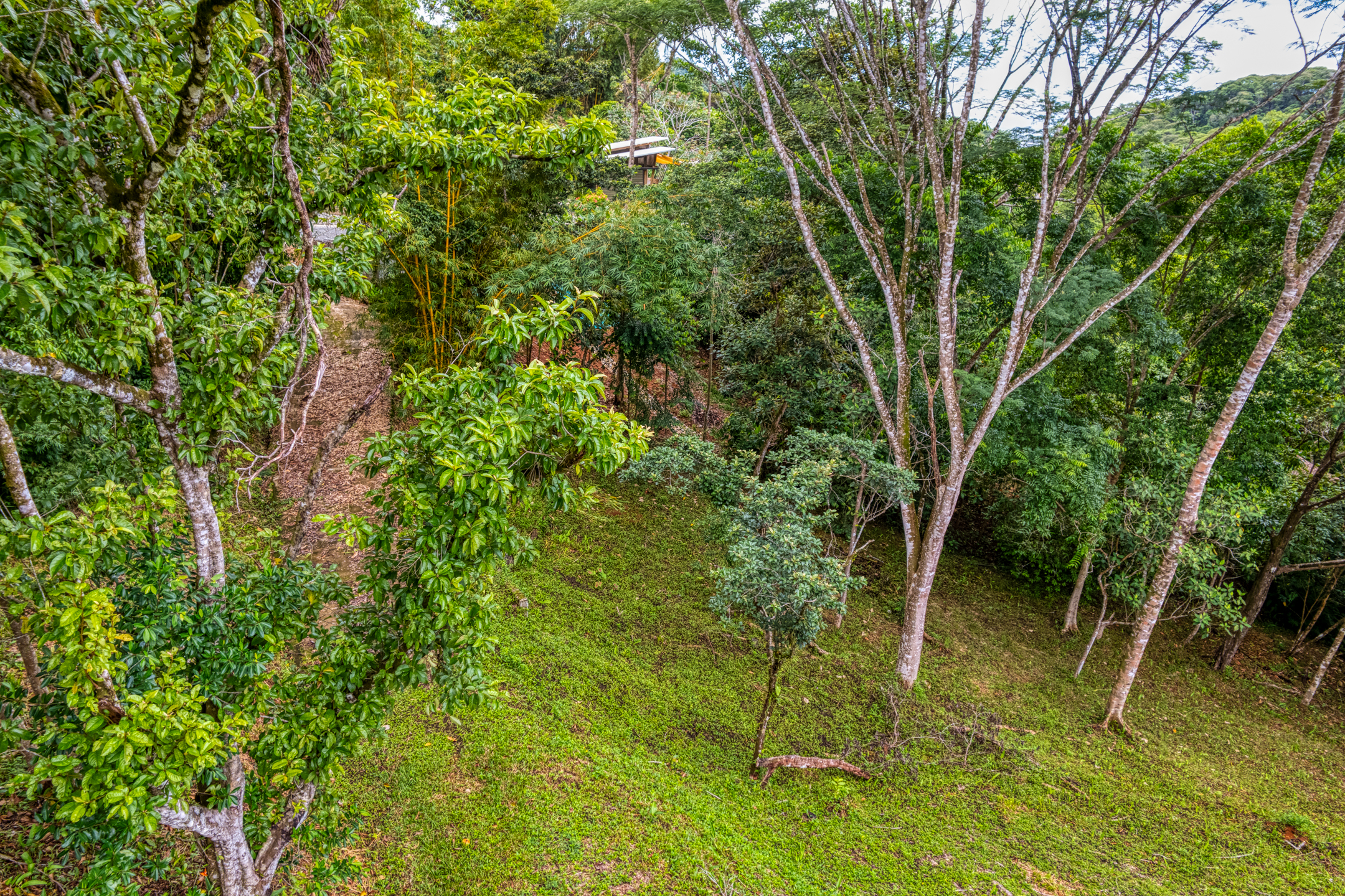 0 bed Land For Sale in Ojochal, Puntarenas - thumb 9