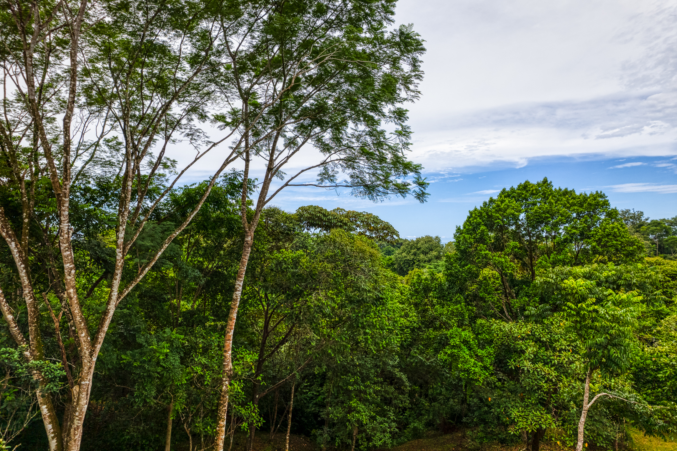 0 bed Land For Sale in Ojochal, Puntarenas - thumb 2