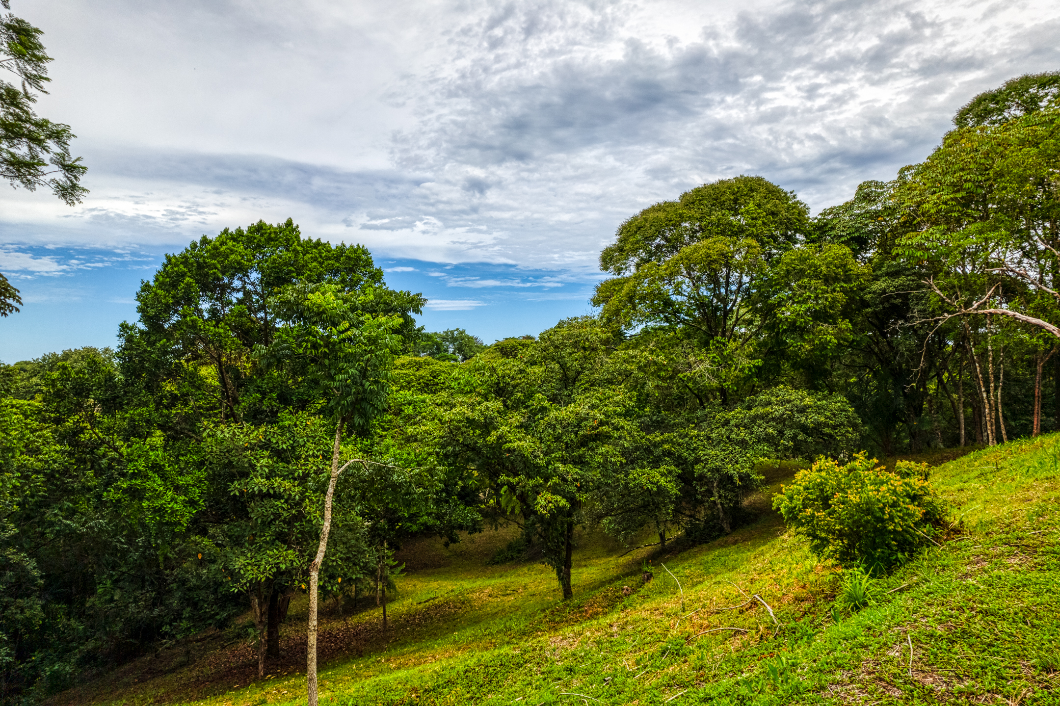 0 bed Land For Sale in Ojochal, Puntarenas - thumb 4