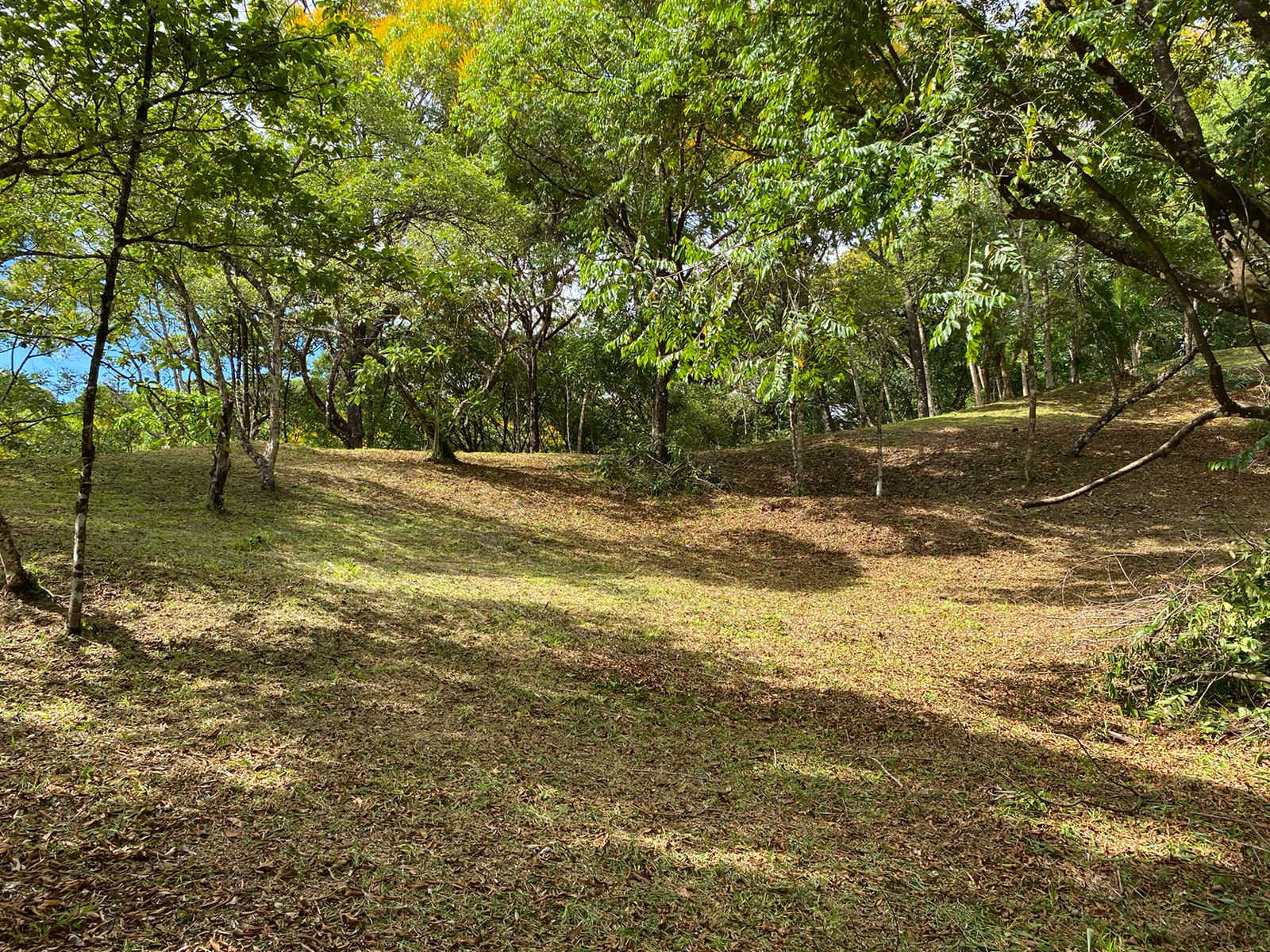 0 bed Land For Sale in Ojochal, Puntarenas - thumb 14