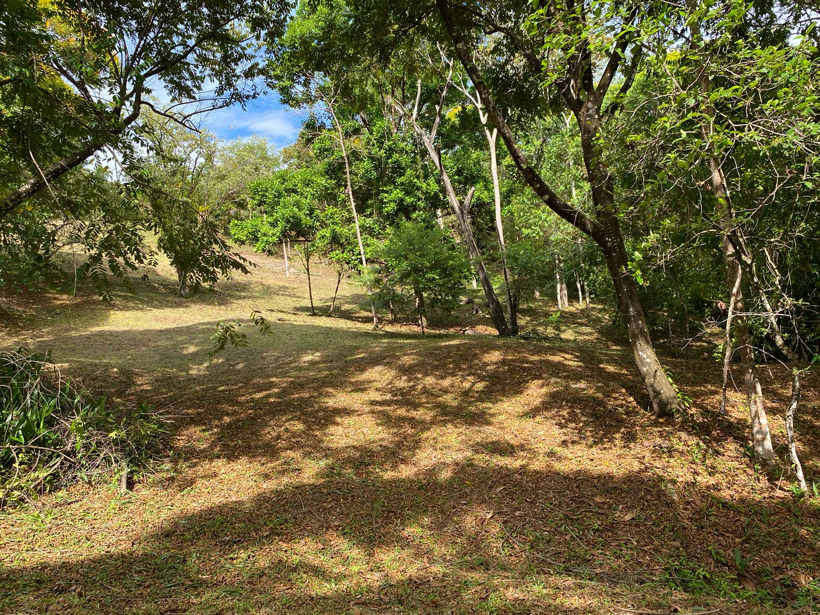 0 bed Land For Sale in Ojochal, Puntarenas - thumb 15