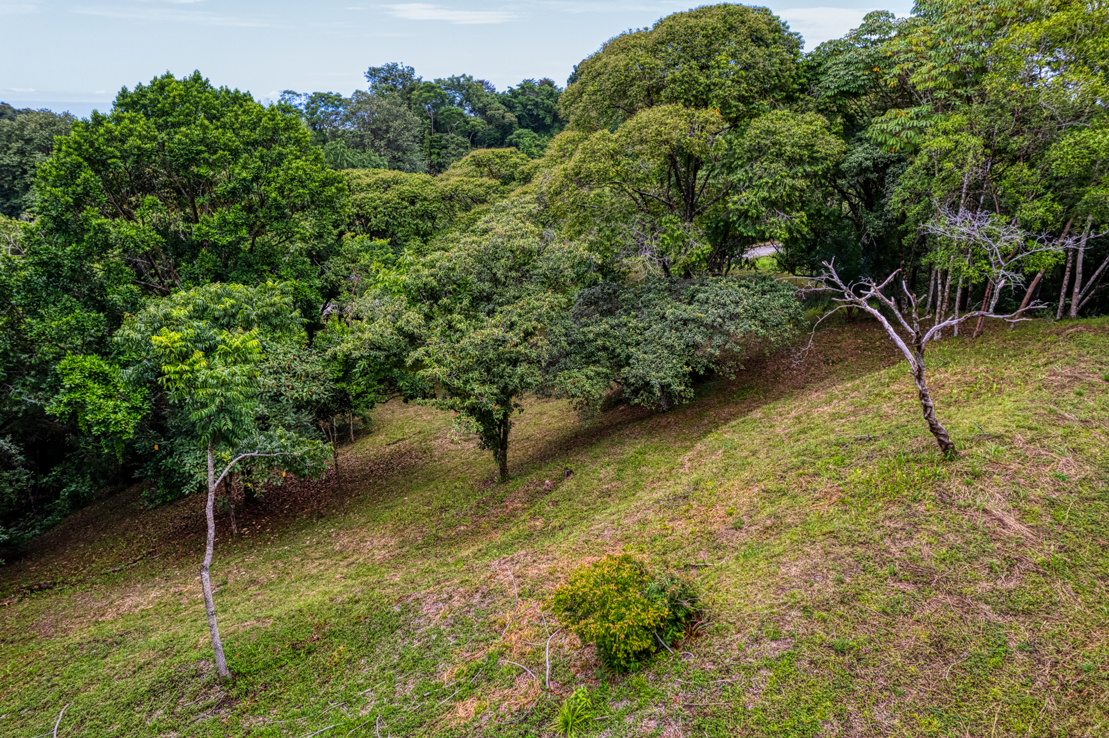 0 bed Land For Sale in Ojochal, Puntarenas - thumb 8