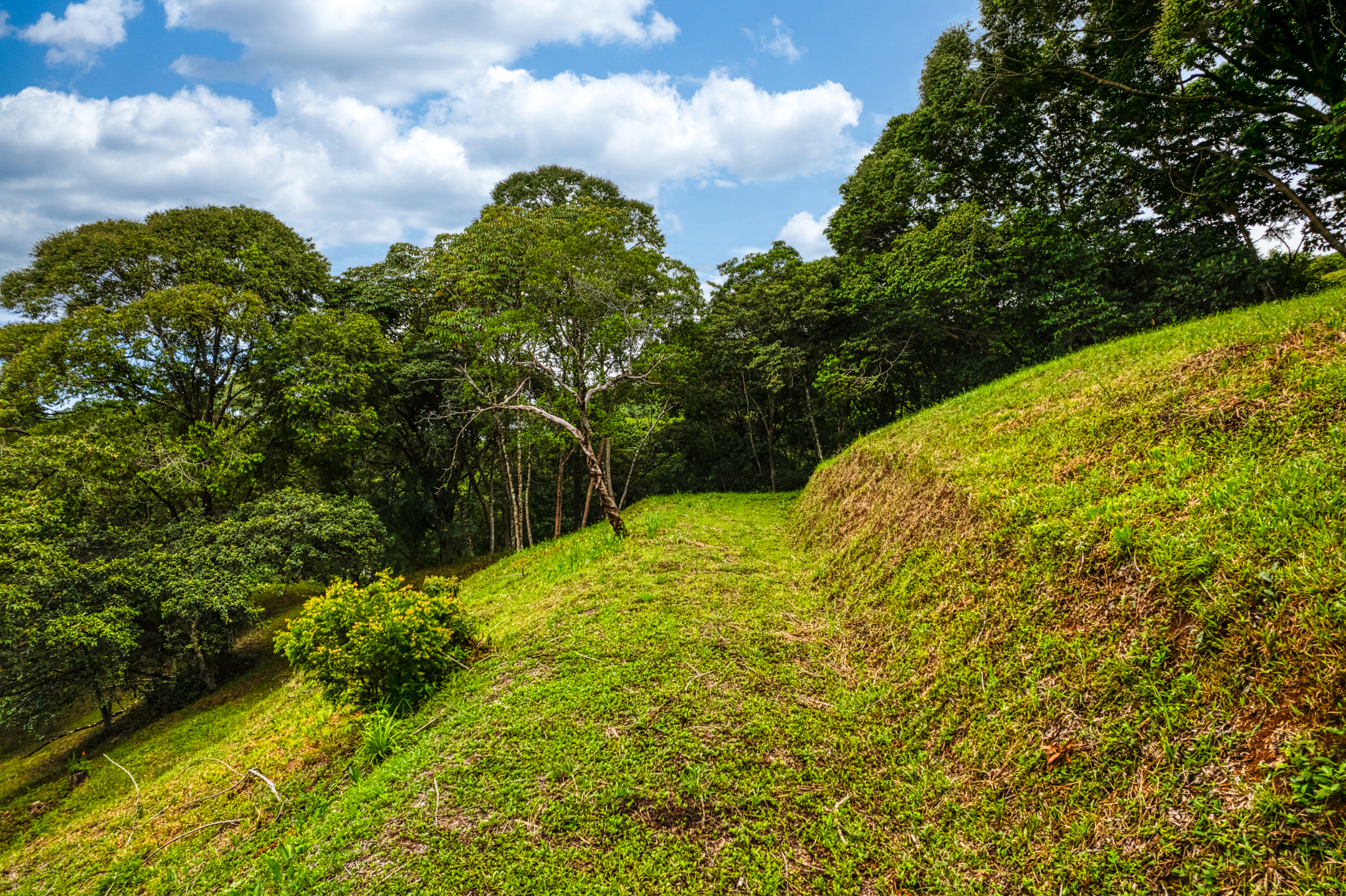 0 bed Land For Sale in Ojochal, Puntarenas - thumb 7