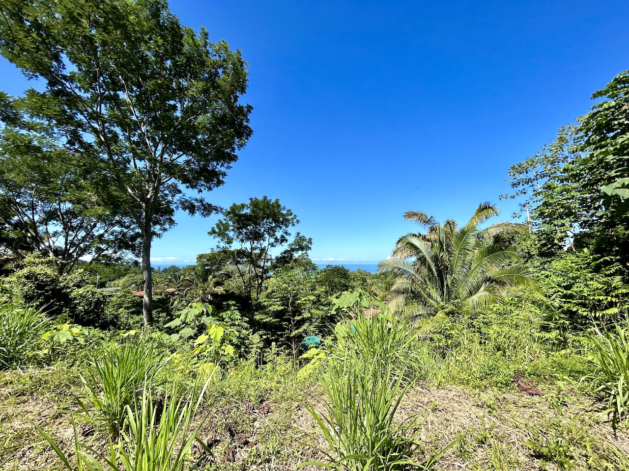 0 bed Land For Sale in Uvita, Puntarenas - thumb 11