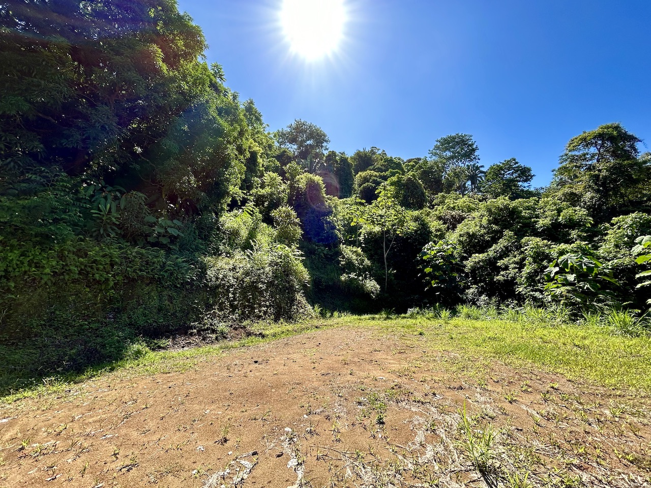 0 bed Land For Sale in Uvita, Puntarenas - thumb 22